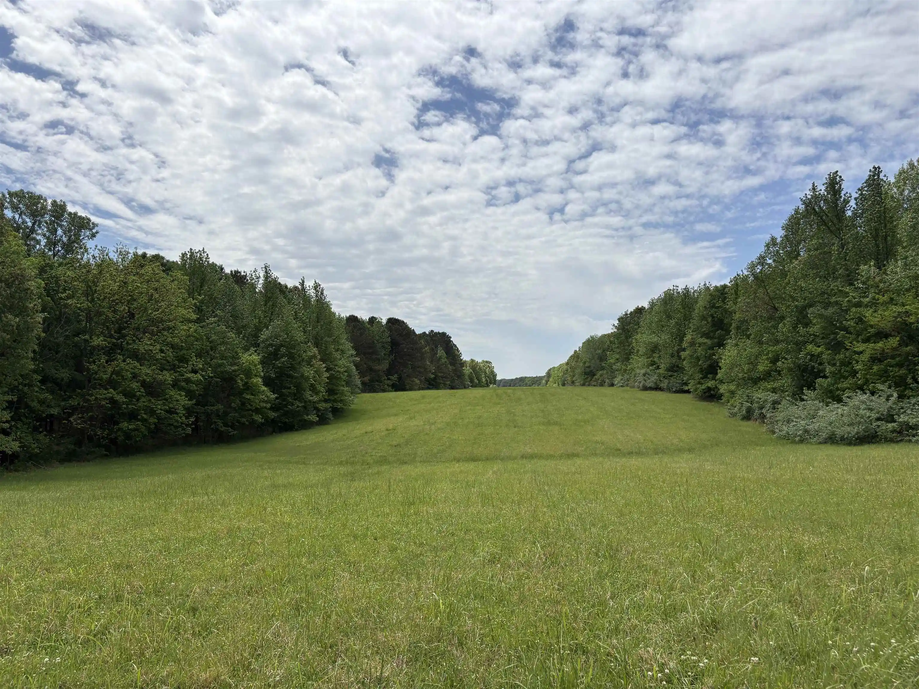 3rd image of 0 N Osborntown Rd #60, Arlington, TN 38002 | MLS# 10219763
