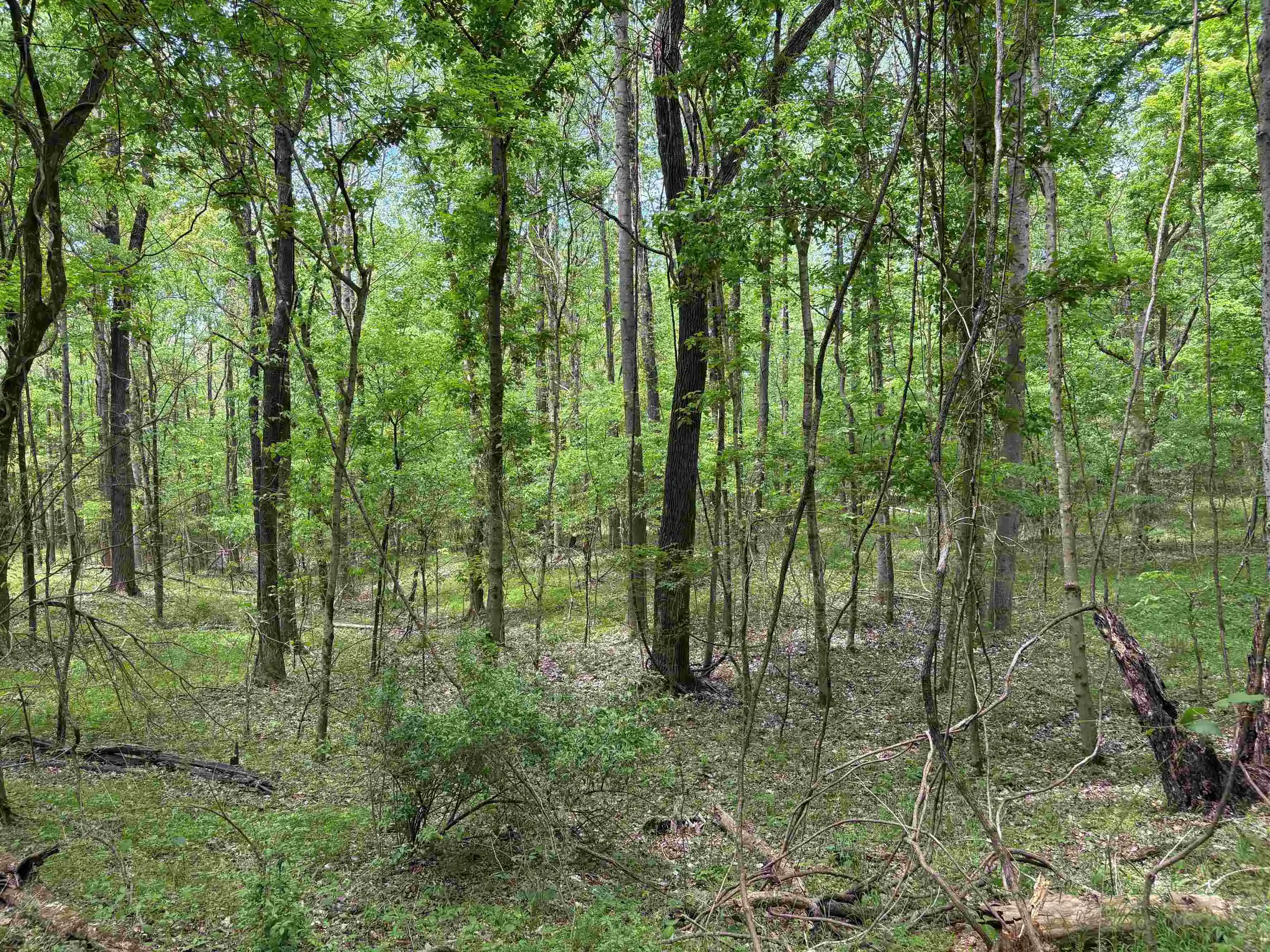 4th image of 0 N Osborntown Rd #60, Arlington, TN 38002 | MLS# 10219763