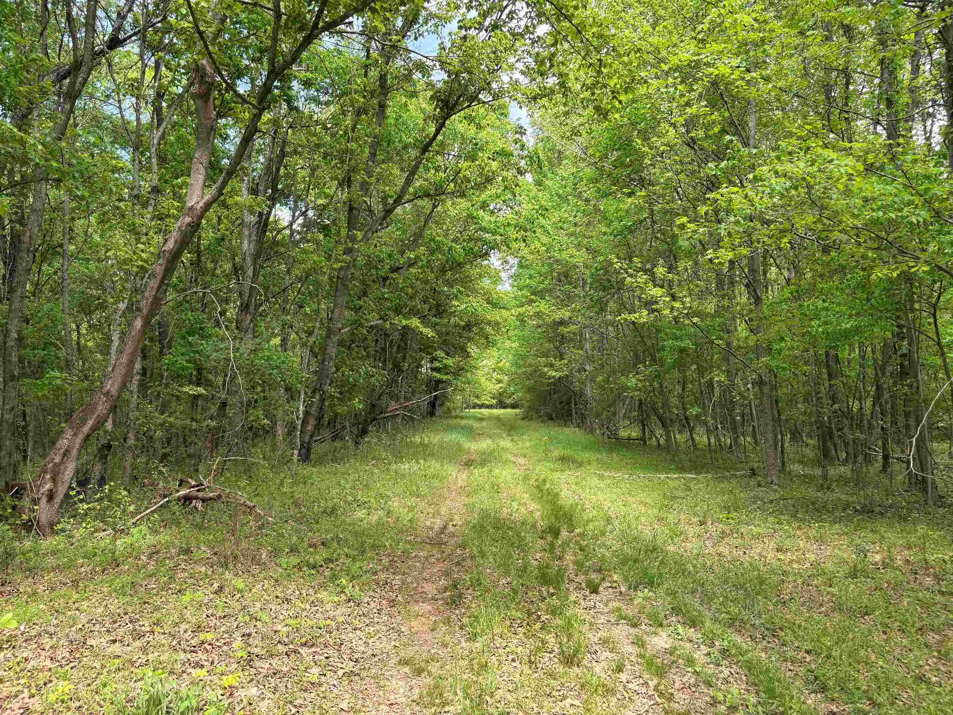 5th image of 0 N Osborntown Rd #60, Arlington, TN 38002 | MLS# 10219763