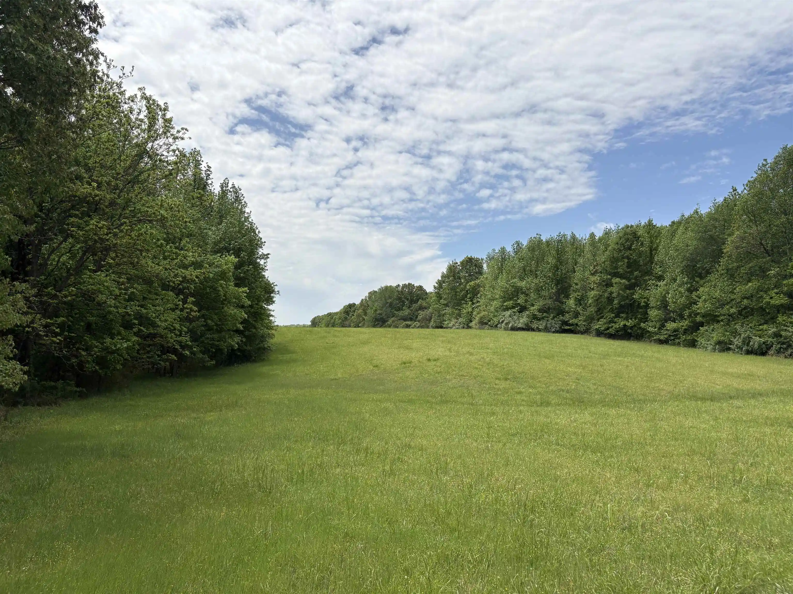 23rd image of 0 N Osborntown Rd #60, Arlington, TN 38002 | MLS# 10219763