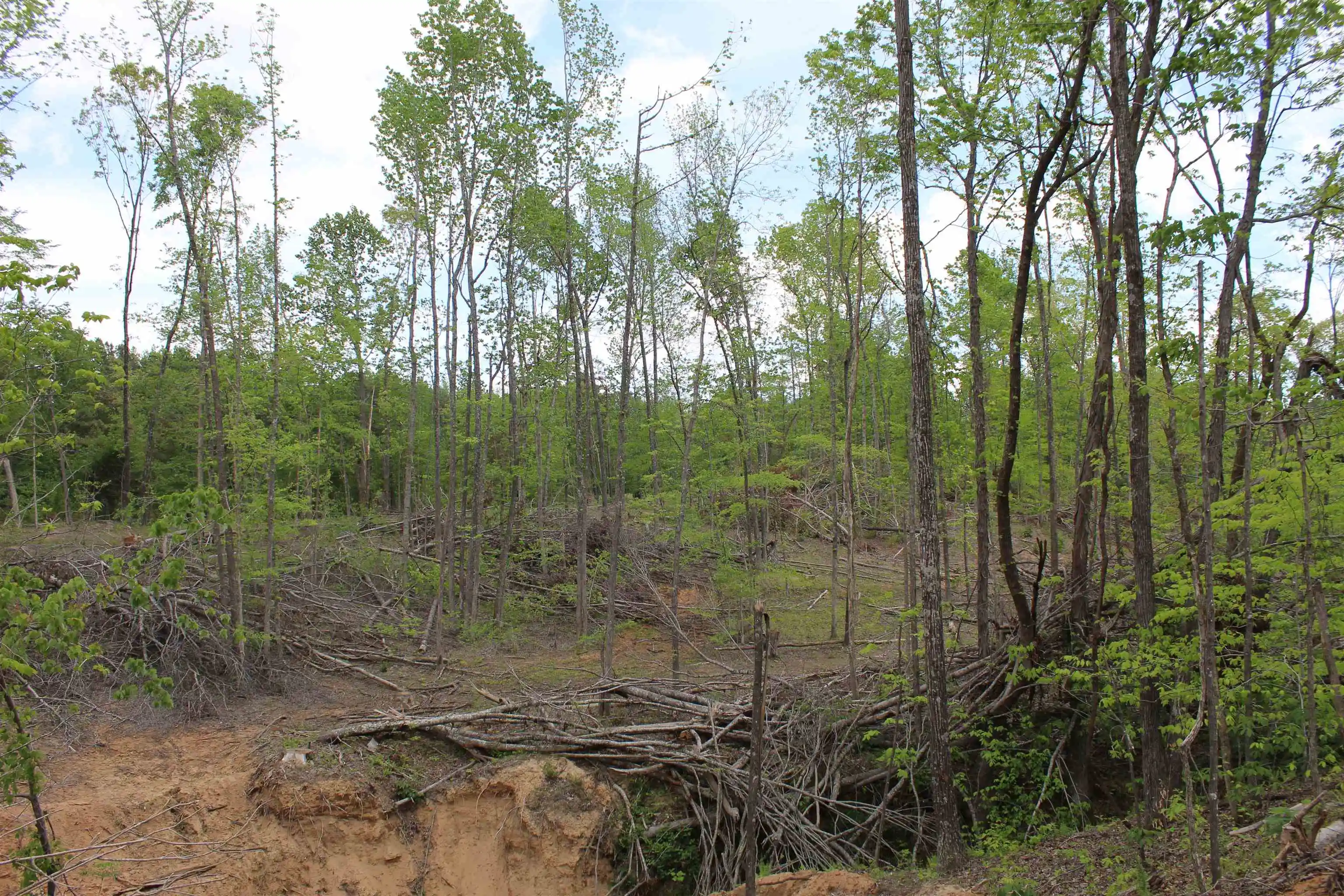 2nd image of 000 Riverside Dr, Jackson, TN 38301 | MLS# 10220128