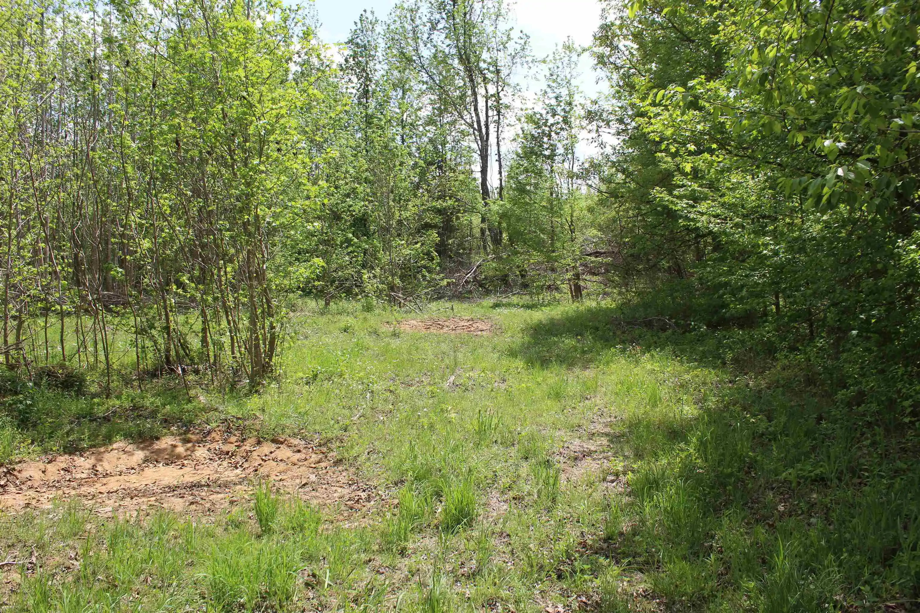 3rd image of 000 Riverside Dr, Jackson, TN 38301 | MLS# 10220128