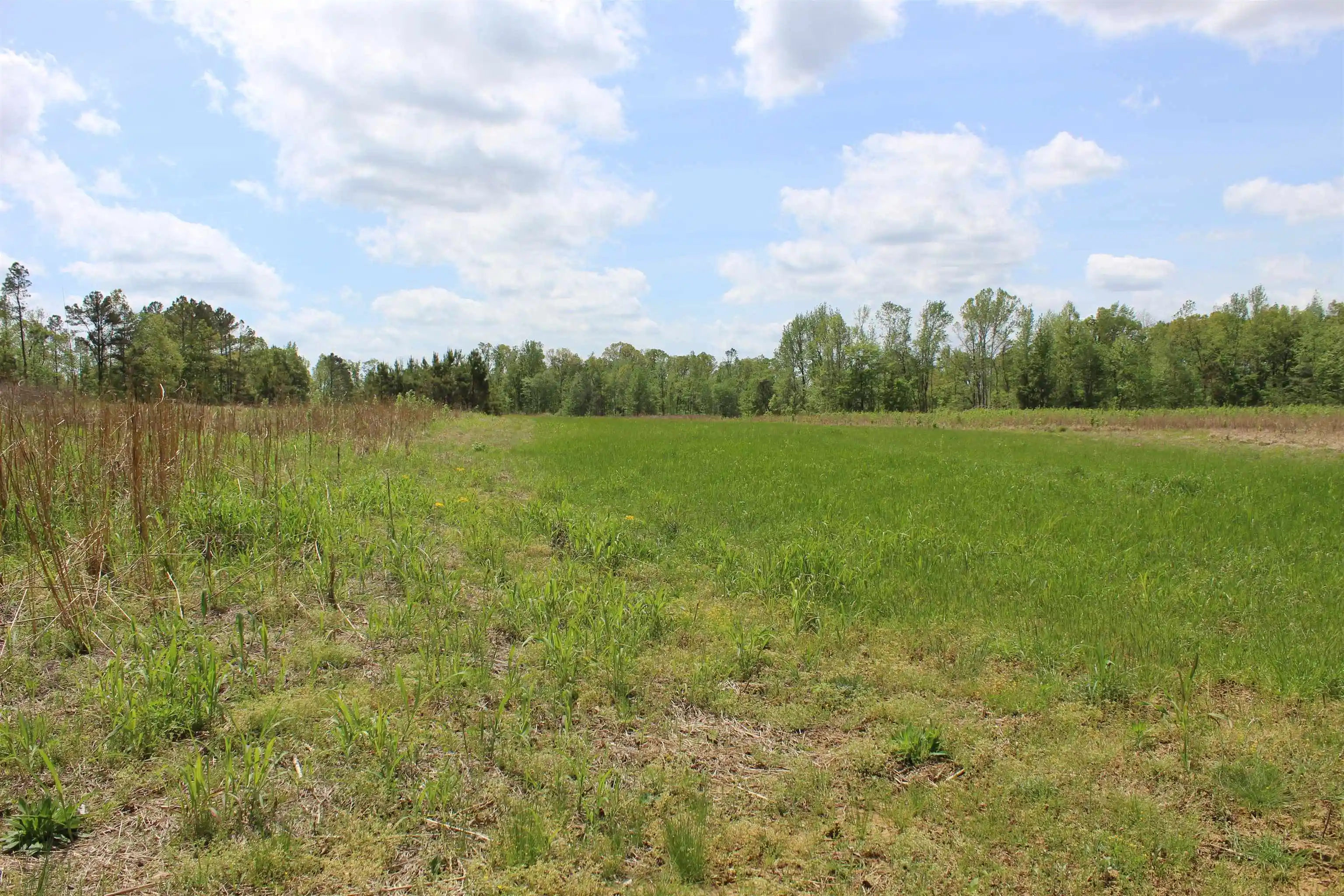 4th image of 000 Riverside Dr, Jackson, TN 38301 | MLS# 10220128