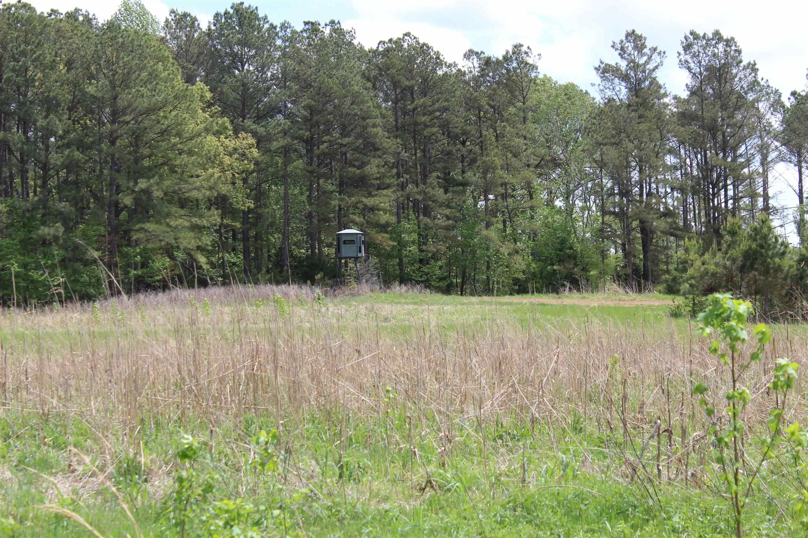 5th image of 000 Riverside Dr, Jackson, TN 38301 | MLS# 10220128