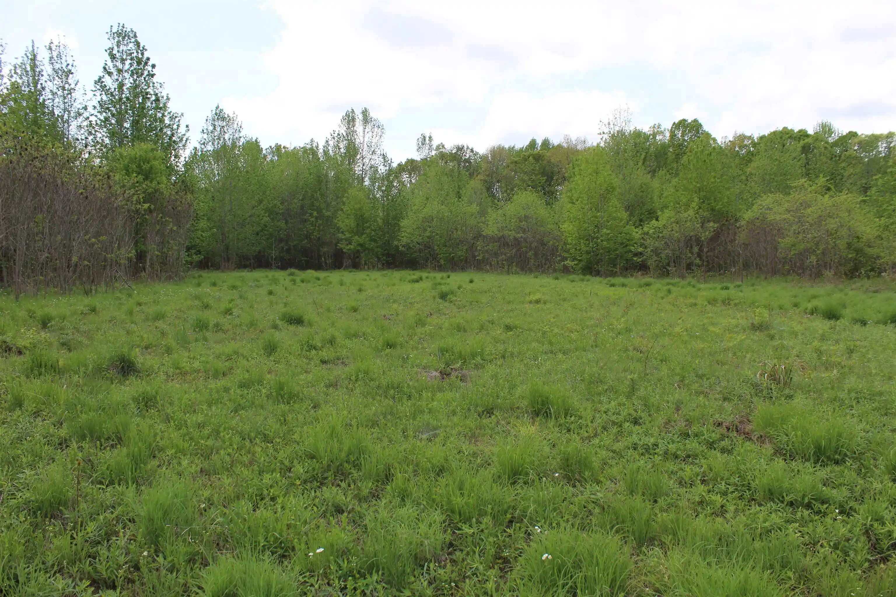 40th image of 000 Riverside Dr, Jackson, TN 38301 | MLS# 10220128