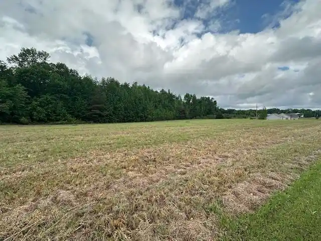 Homes for sale in Adamsville, TN | 000 Pear Blossom Ln, Adamsville, TN 38310 | MLS# 10220399
