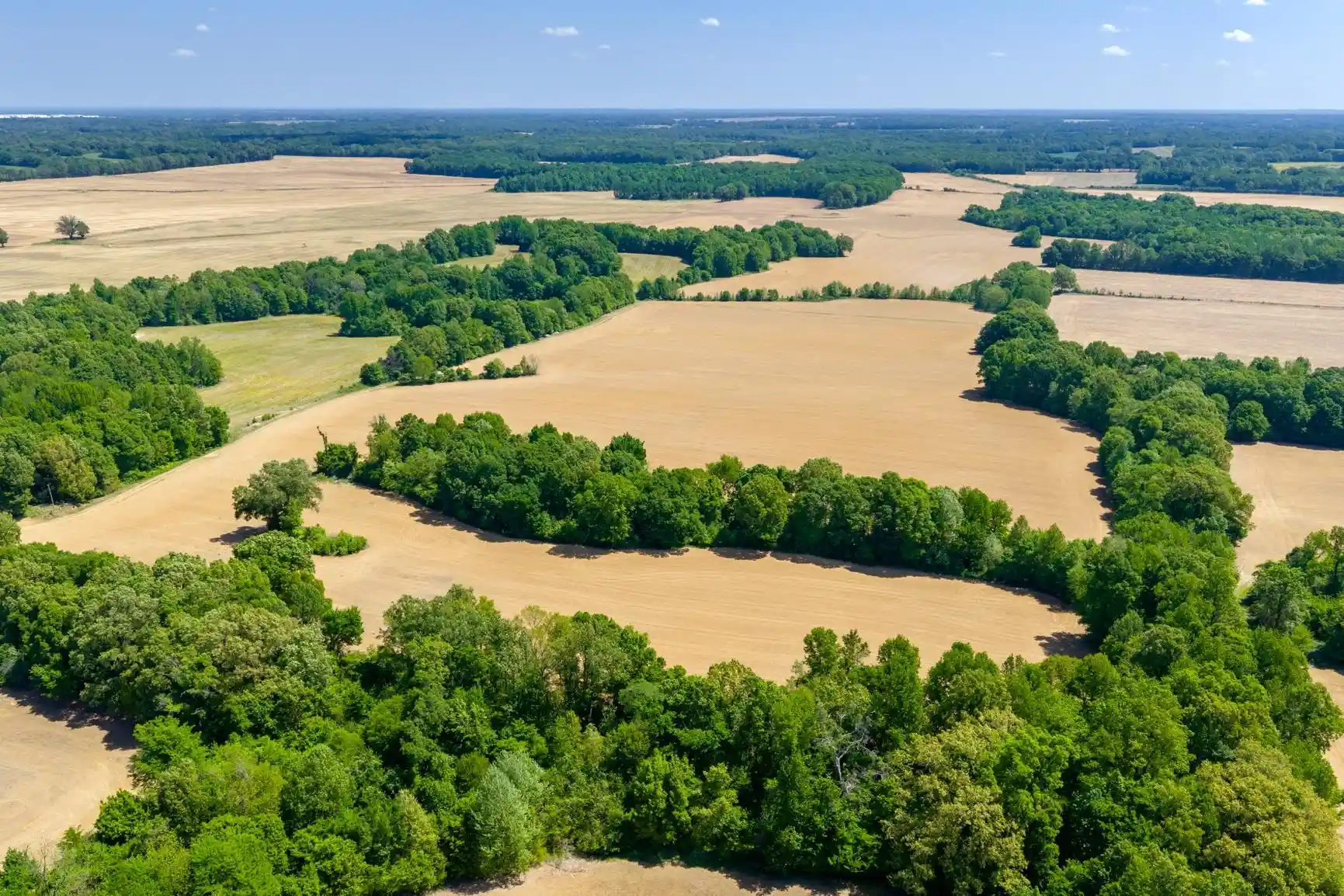 Photo 3 of Land for sale at 0 Boyland Way, Mason, TN 38049 | MLS# 10220558 | Listing updated on 2026-07-29
