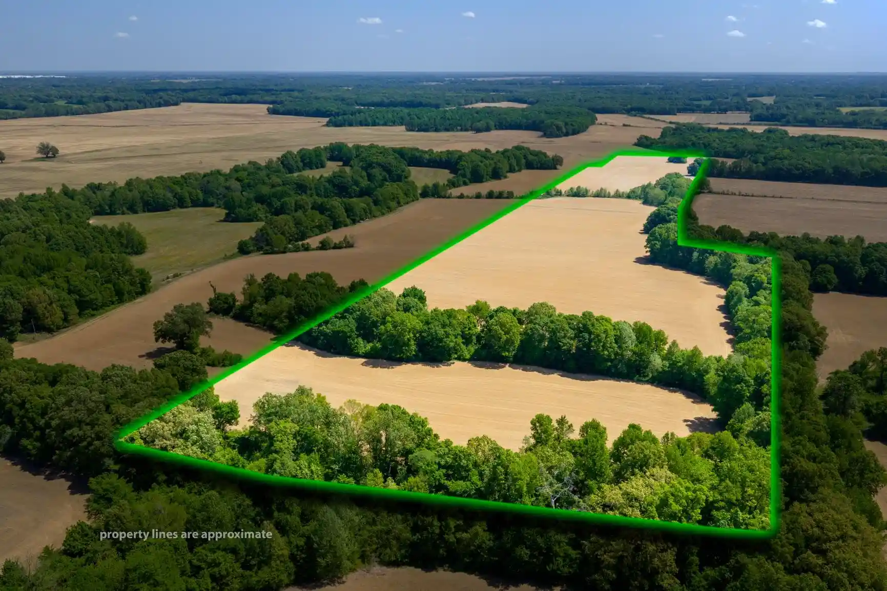 Photo 3 of Land for sale at 0 Boyland Way, Mason, TN 38049 | MLS# 10220558 | Listing updated on 2026-07-29