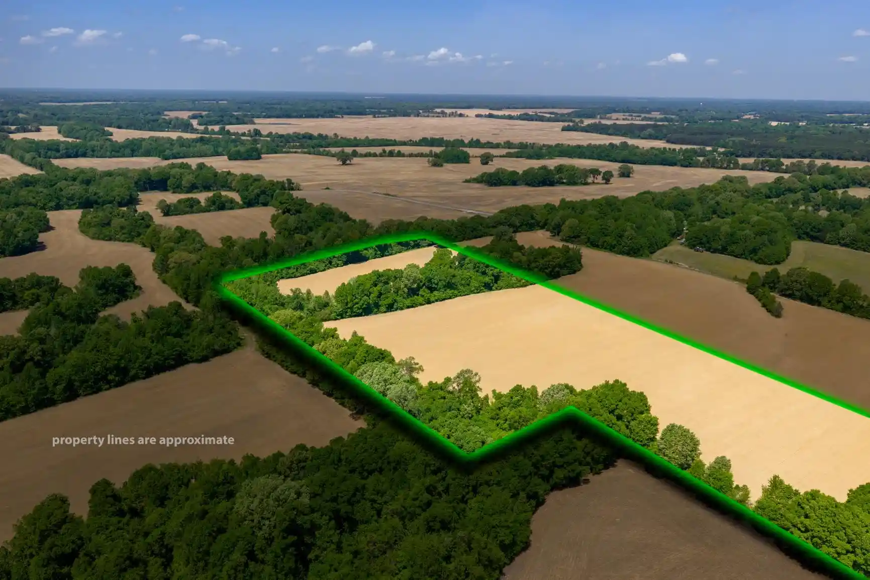 Photo 4 of Land for sale at 0 Boyland Way, Mason, TN 38049 | MLS# 10220558 | Listing updated on 2026-07-29