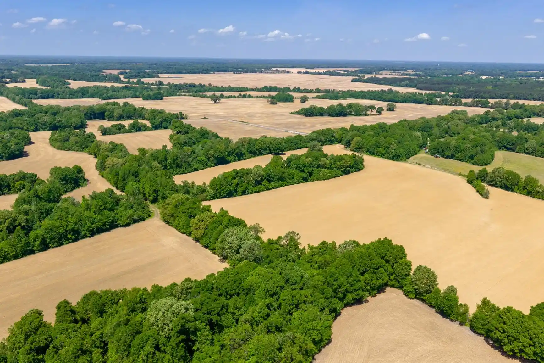 10th image of 0 Boyland Wy, Mason, TN 38049 | MLS# 10220558