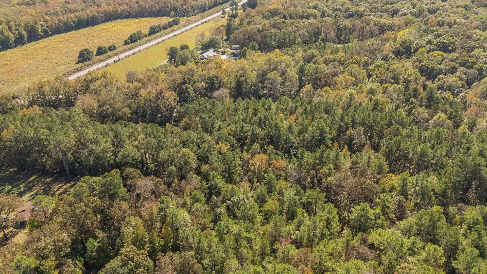 Homes for sale in Bolivar, TN | 0 Clifftview Rd, Bolivar, TN 38008 | MLS# 10220690