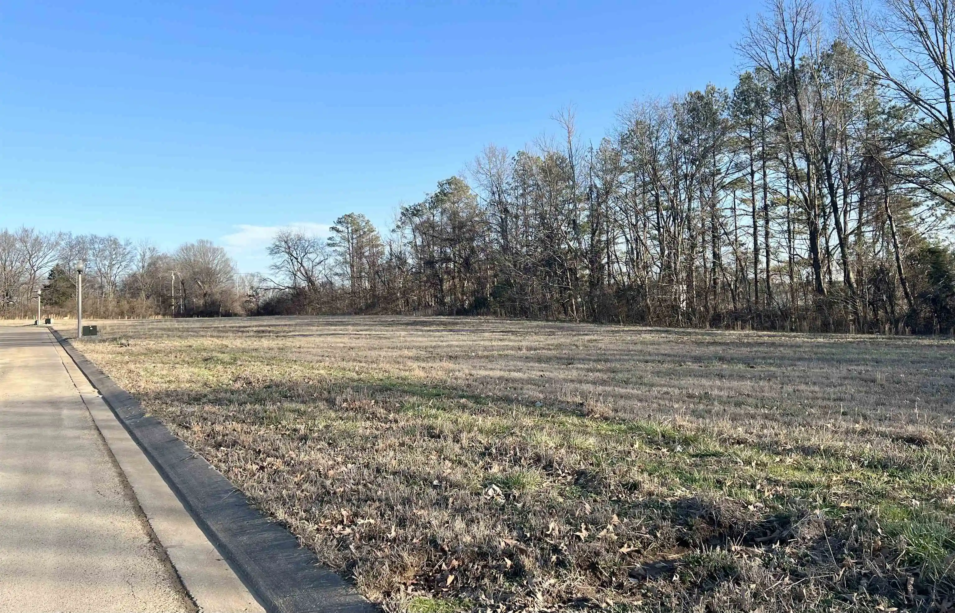 2nd image of 51,52,55,56 York Commons St, Ripley, TN 38063 | MLS# 10220778