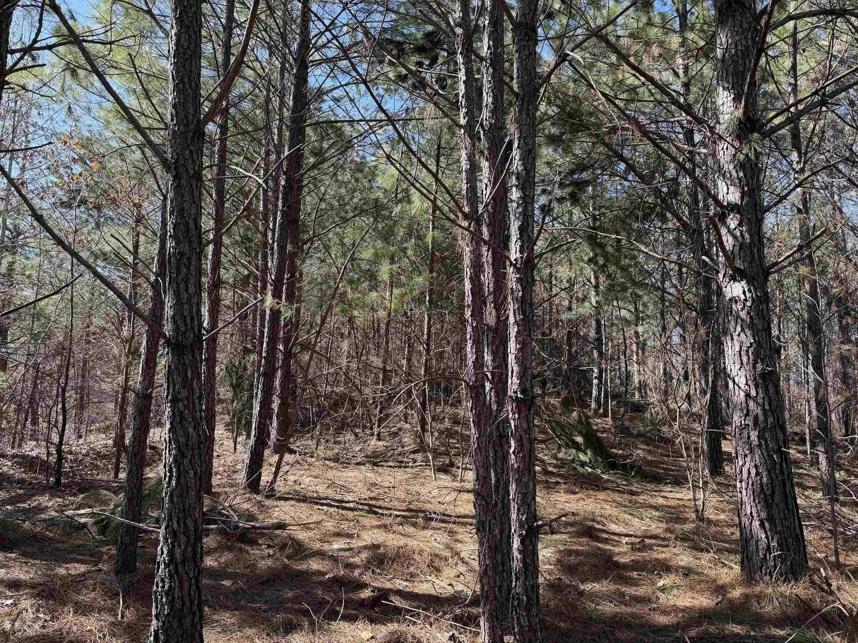 2nd image of 6 Pyburn Dr, Savannah, TN 38372 | MLS# 10220873