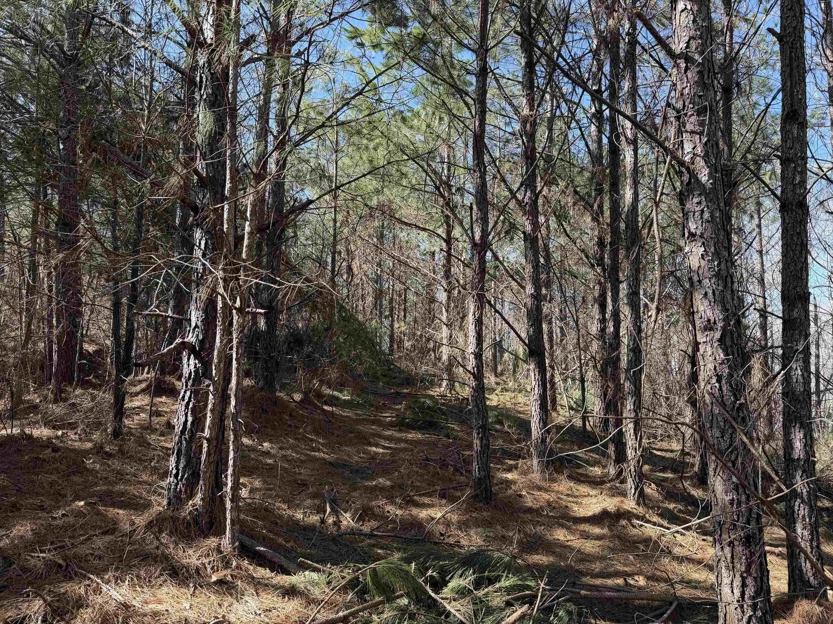 4th image of 6 Pyburn Dr, Savannah, TN 38372 | MLS# 10220873