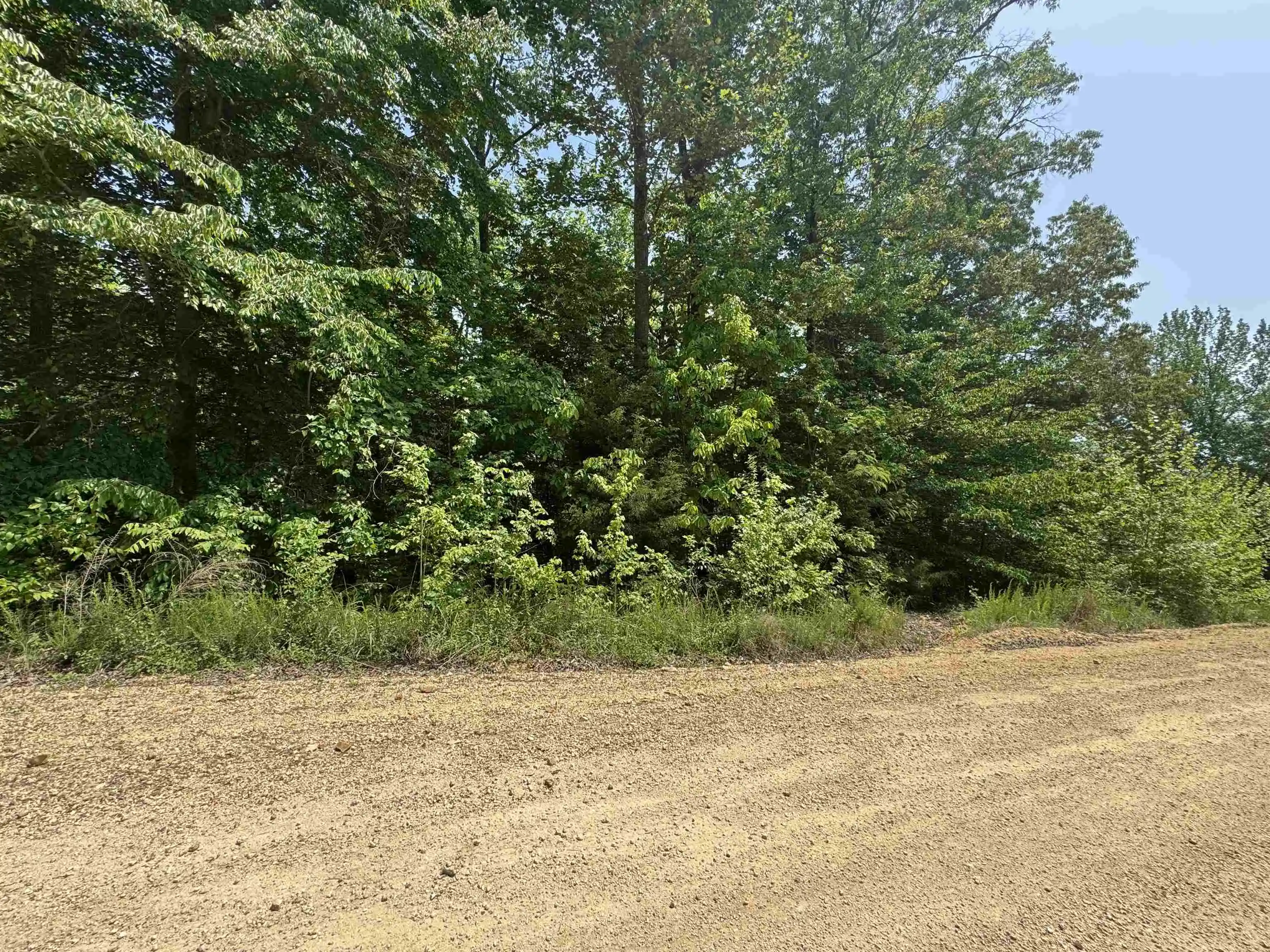 1st image of 00 Younger Hollow Cemetery Rd, Clifton, TN 38425 | MLS# 10220917