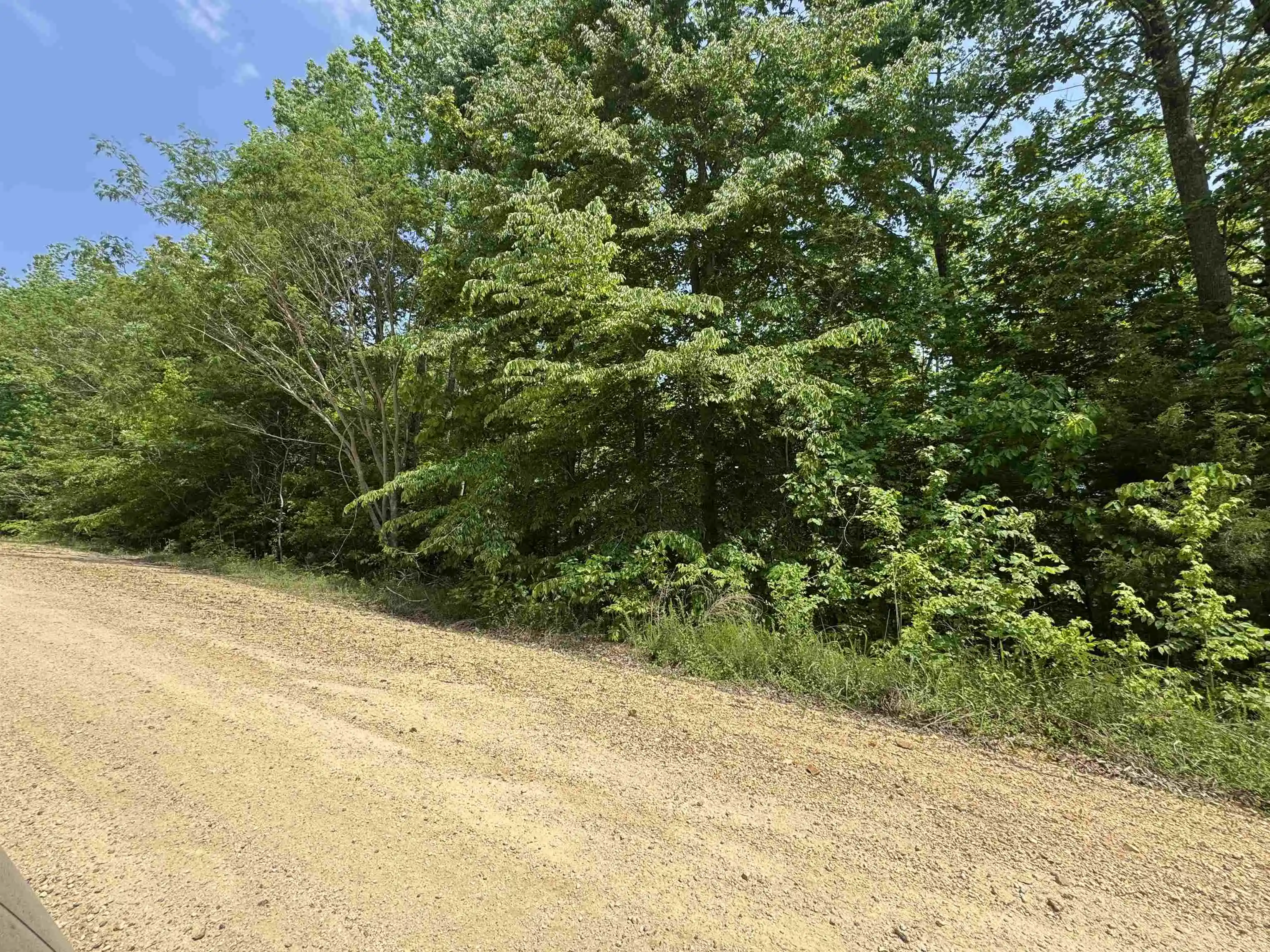 2nd image of 00 Younger Hollow Cemetery Rd, Clifton, TN 38425 | MLS# 10220917