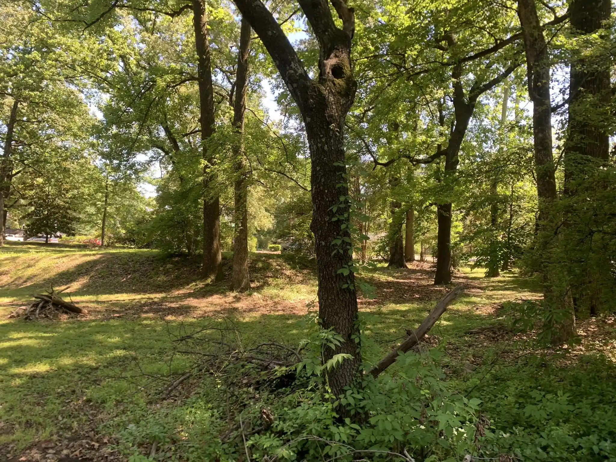 3rd image of 901 S Perkins Rd, Memphis, TN 38117 | MLS# 10221184
