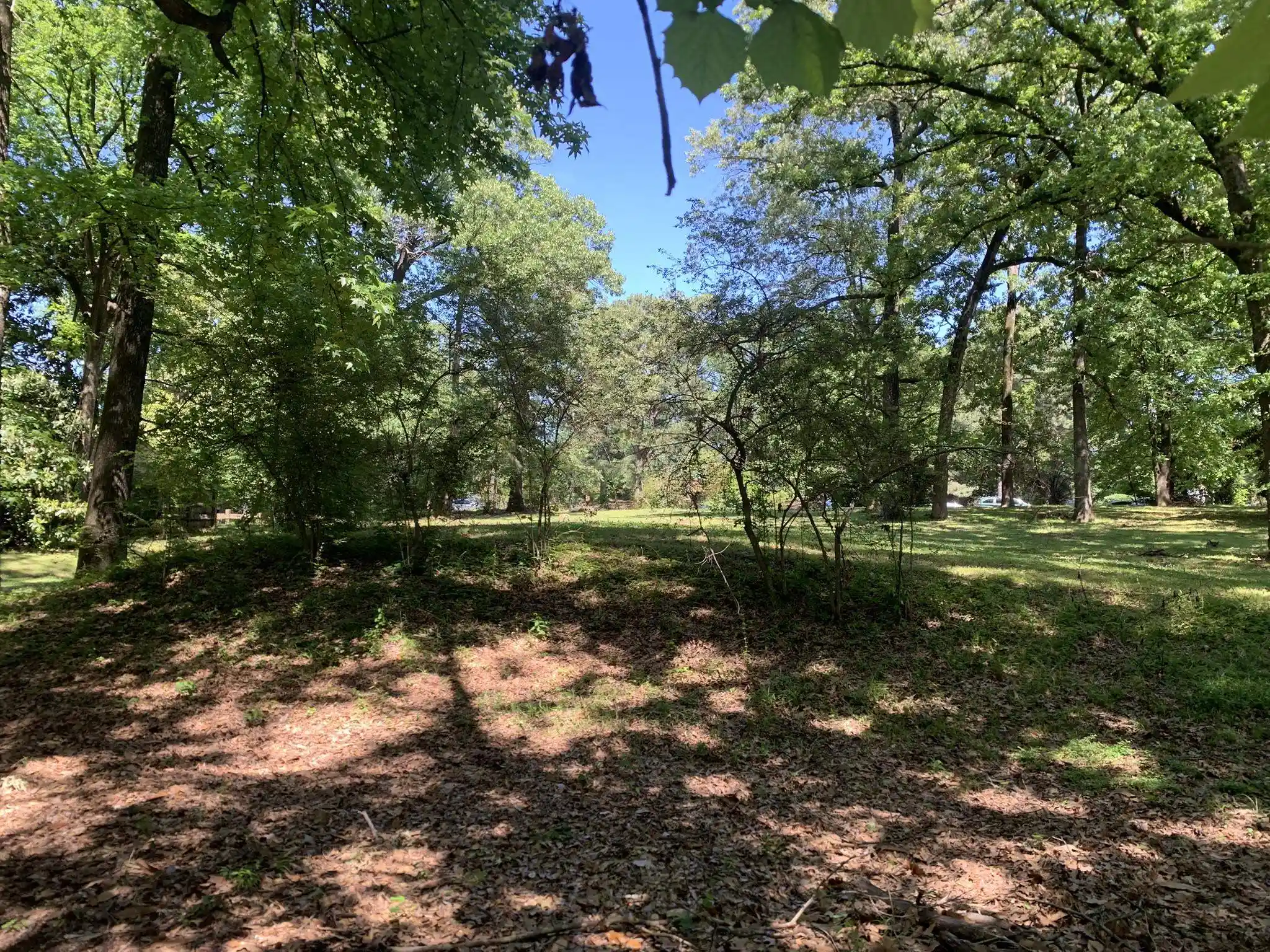 13th image of 901 S Perkins Rd, Memphis, TN 38117 | MLS# 10221184