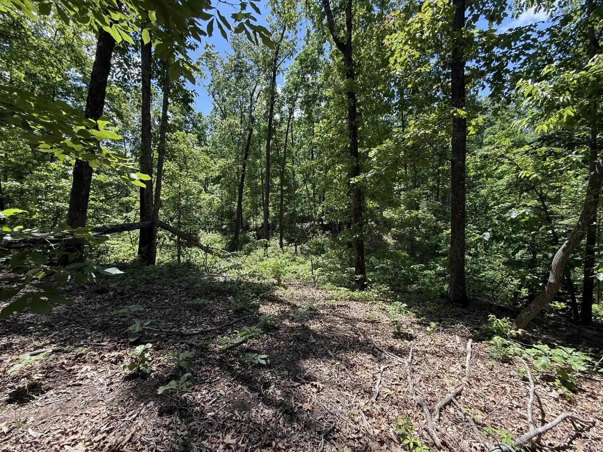 Photo 3 of Land for sale at 275 Mockingbird Ln, Savannah, TN 38372 | MLS# 10221346 | Listing updated on 2026-07-09