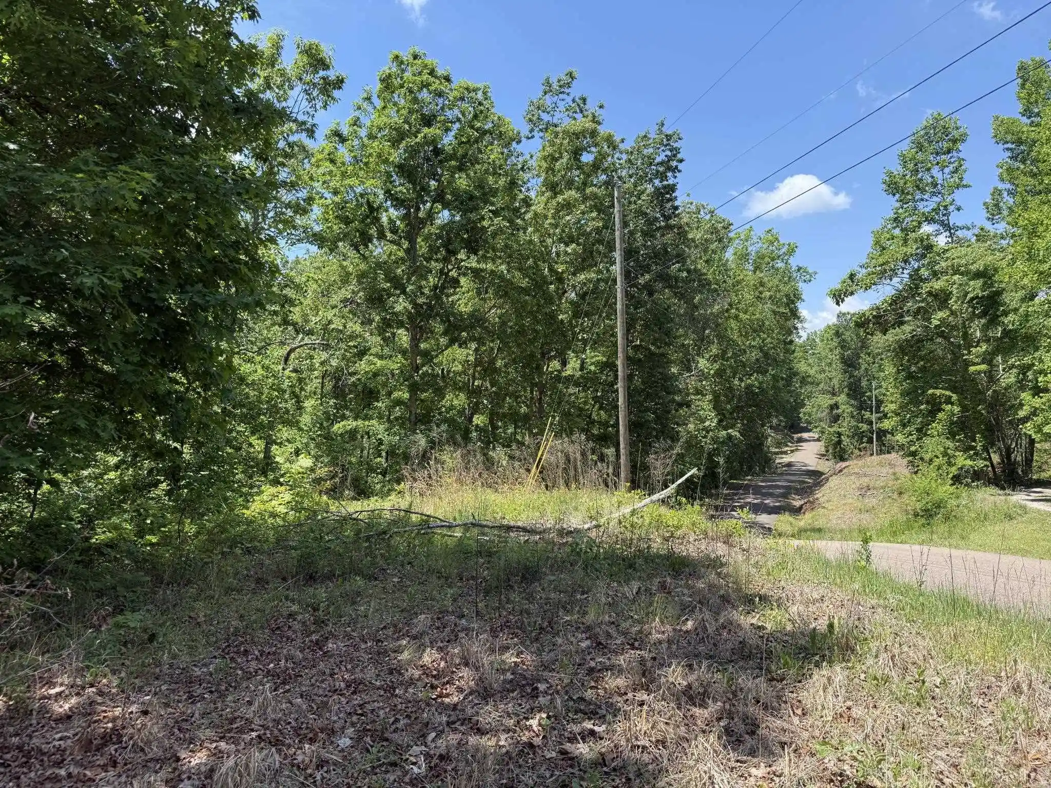 Photo 4 of Land for sale at 275 Mockingbird Ln, Savannah, TN 38372 | MLS# 10221346 | Listing updated on 2026-09-28