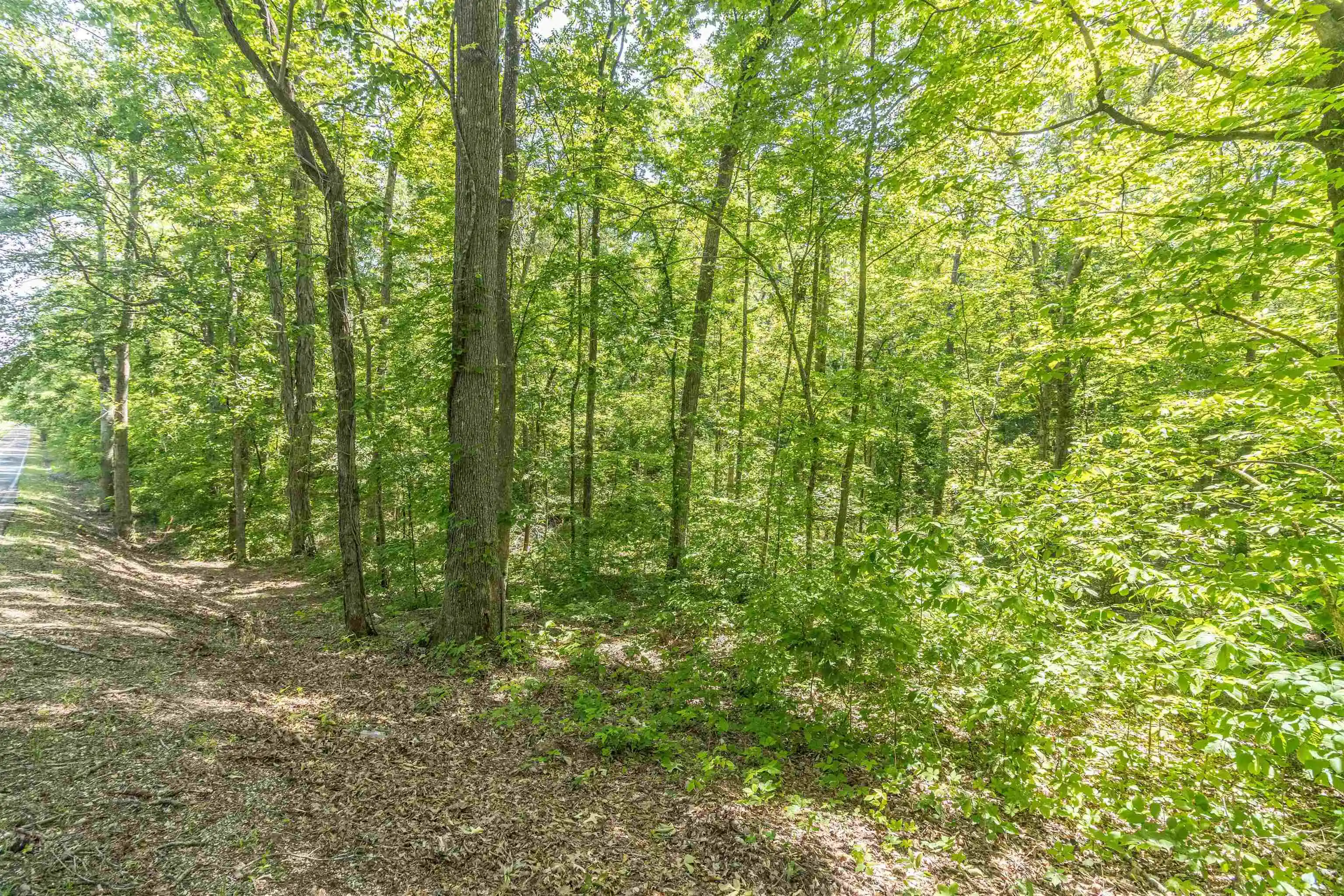 Photo 3 of Land for sale at 1540 A Chewalla Rd, Ramer, TN 38367 | MLS# 10221577 | Listing updated on 2026-05-14