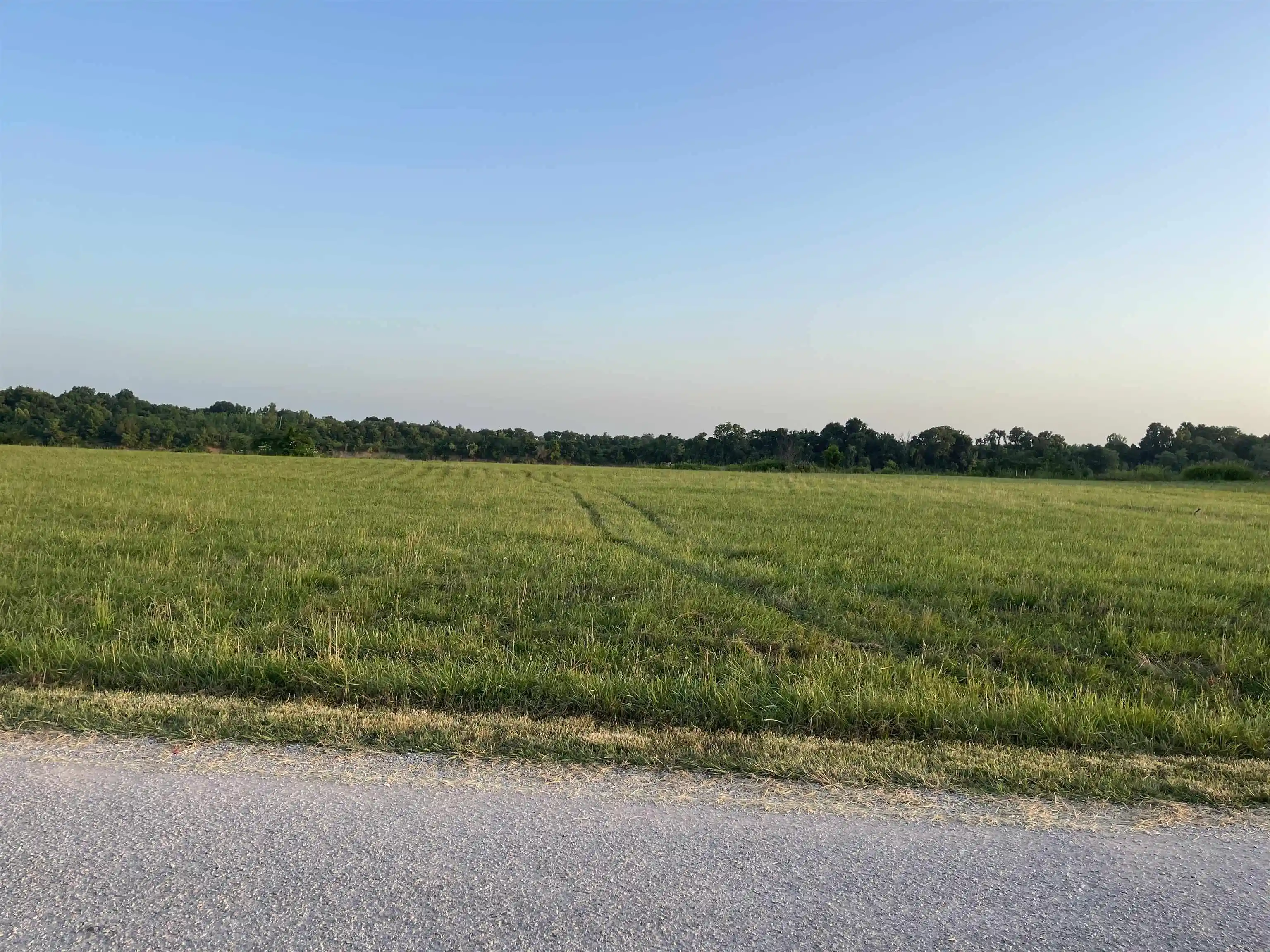 Homes for sale in Crump, TN | Lot 67 Catfish Ln, Crump, TN 38327 | MLS# 10221768