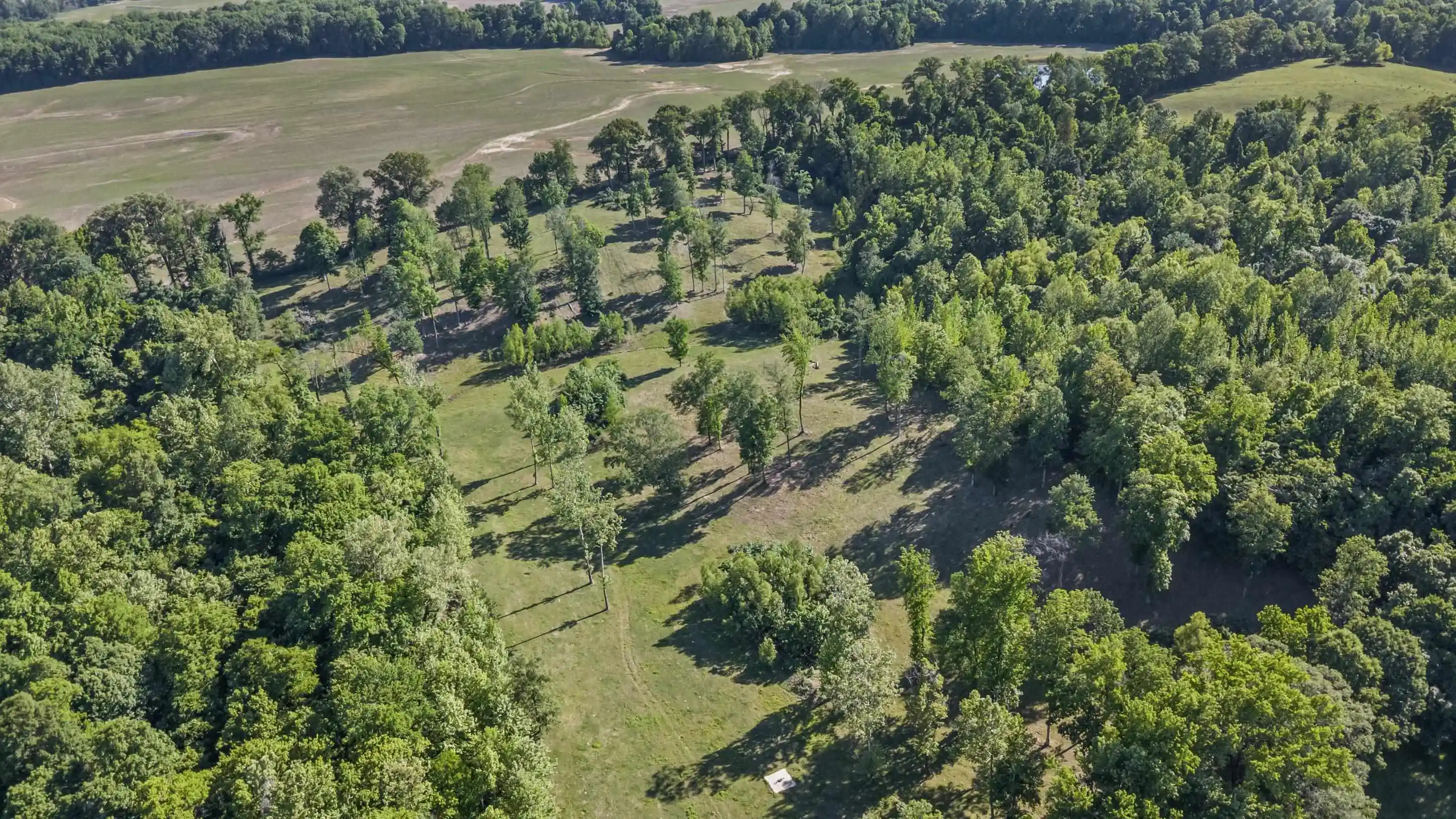 Photo 3 of Sale Pending at 341 Long Hole Rd, Ripley, TN 38063 | MLS# 10221830 | Listing updated on 2026-05-25