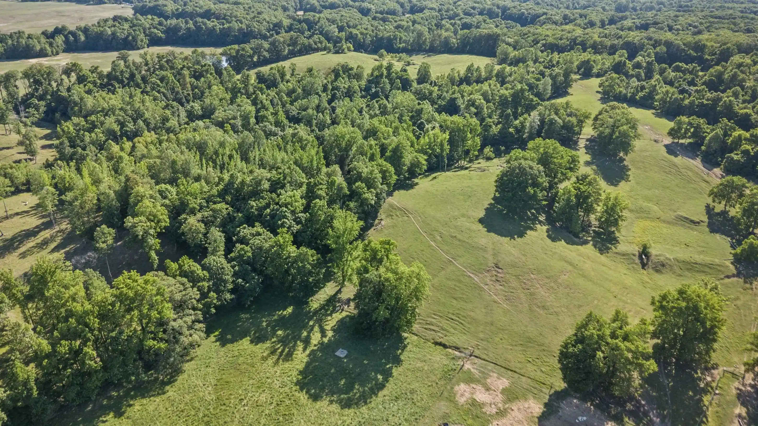 Photo 4 of Sale Pending at 341 Long Hole Rd, Ripley, TN 38063 | MLS# 10221830 | Listing updated on 2026-05-25
