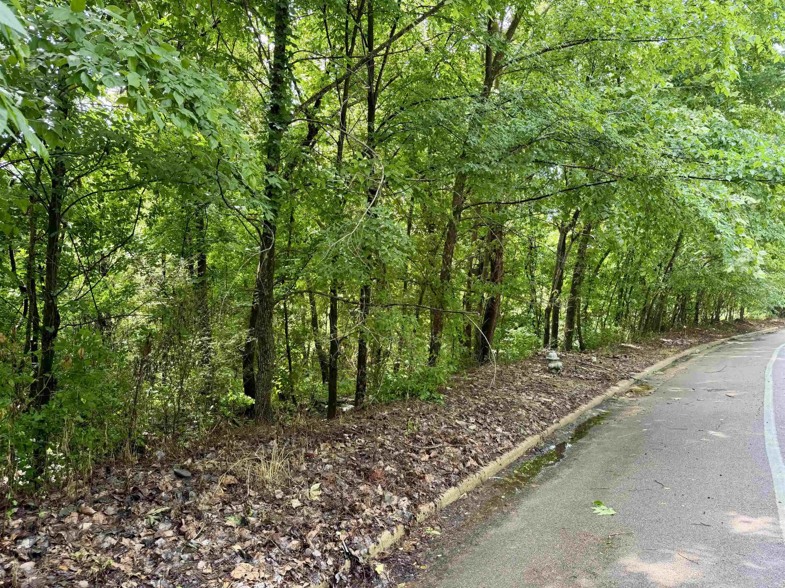 Photo 2 of Land for sale at 0 Northhaven Dr, Memphis, TN 38127 | MLS# 10222023 | Listing updated on 2026-08-31