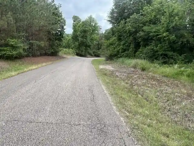 Homes for sale in Bolivar, TN | Burnett Mills Rd, Bolivar, TN 38008 | MLS# 10222148