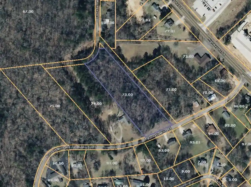 Homes for sale in Bolivar, TN | Burnett Mills Rd, Bolivar, TN 38008 | MLS# 10222148