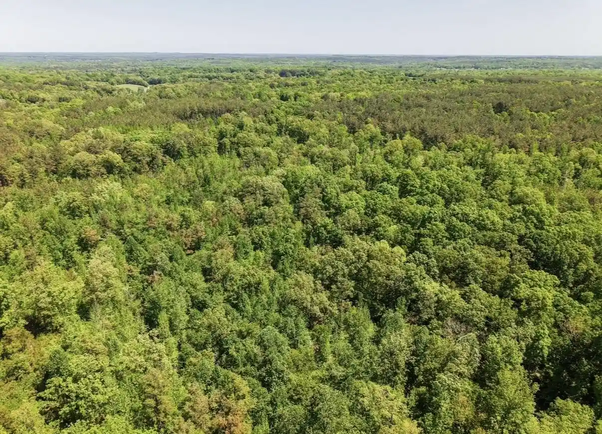 Photo 3 of Land for sale at 0 Ed Barham Tract 1 Rd, Bethel Springs, TN 38315 | MLS# 10222149 | Listing updated on 2026-05-21