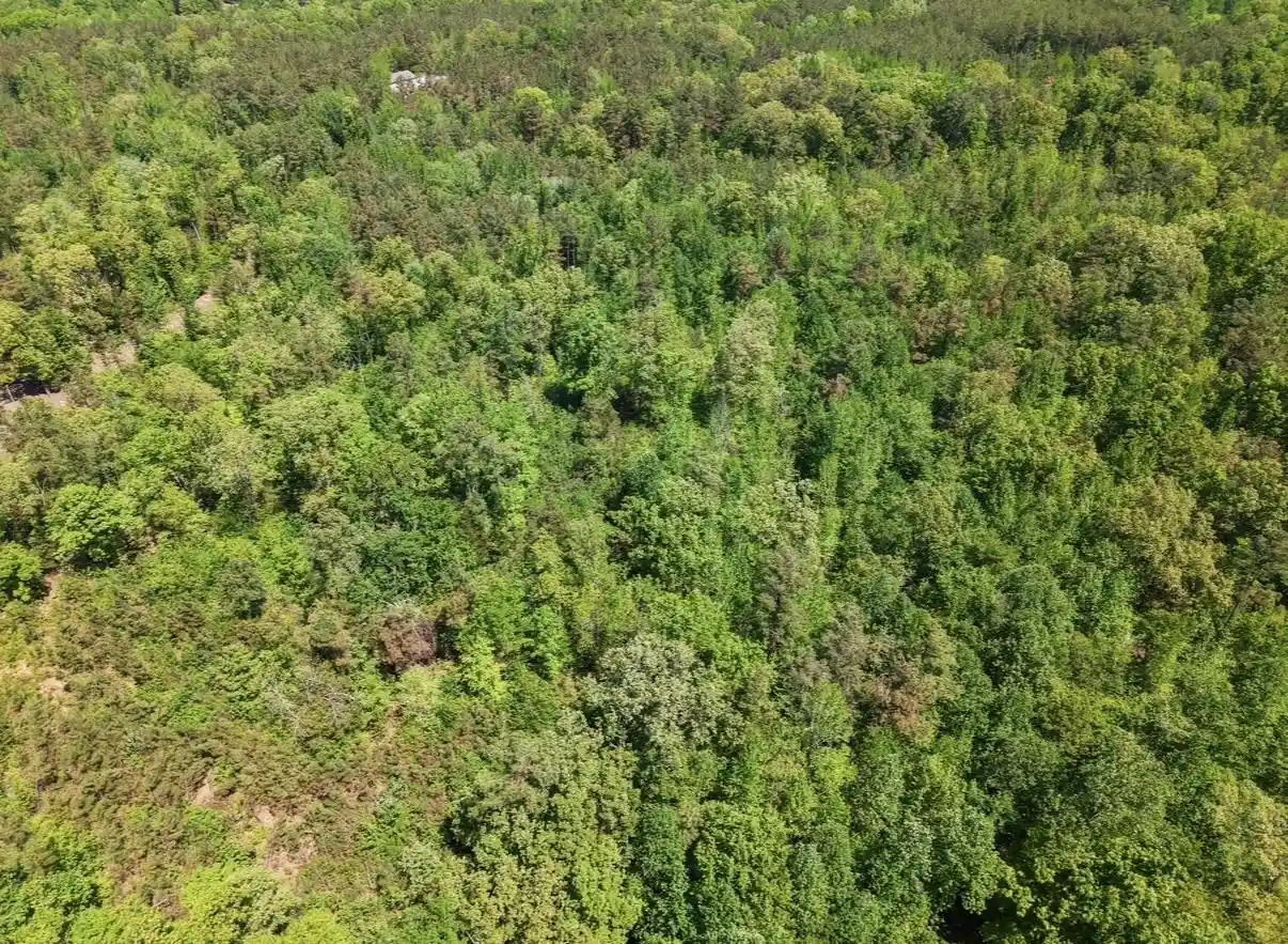 Photo 3 of Land for sale at 0 Ed Barham Tract 1 Rd, Bethel Springs, TN 38315 | MLS# 10222149 | Listing updated on 2026-05-21