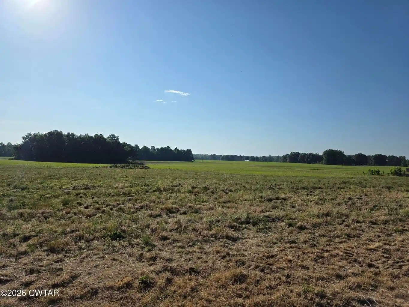 Homes for sale in Medon, TN | 2101 Hwy 18 Hwy, Medon, TN | MLS# 10222156