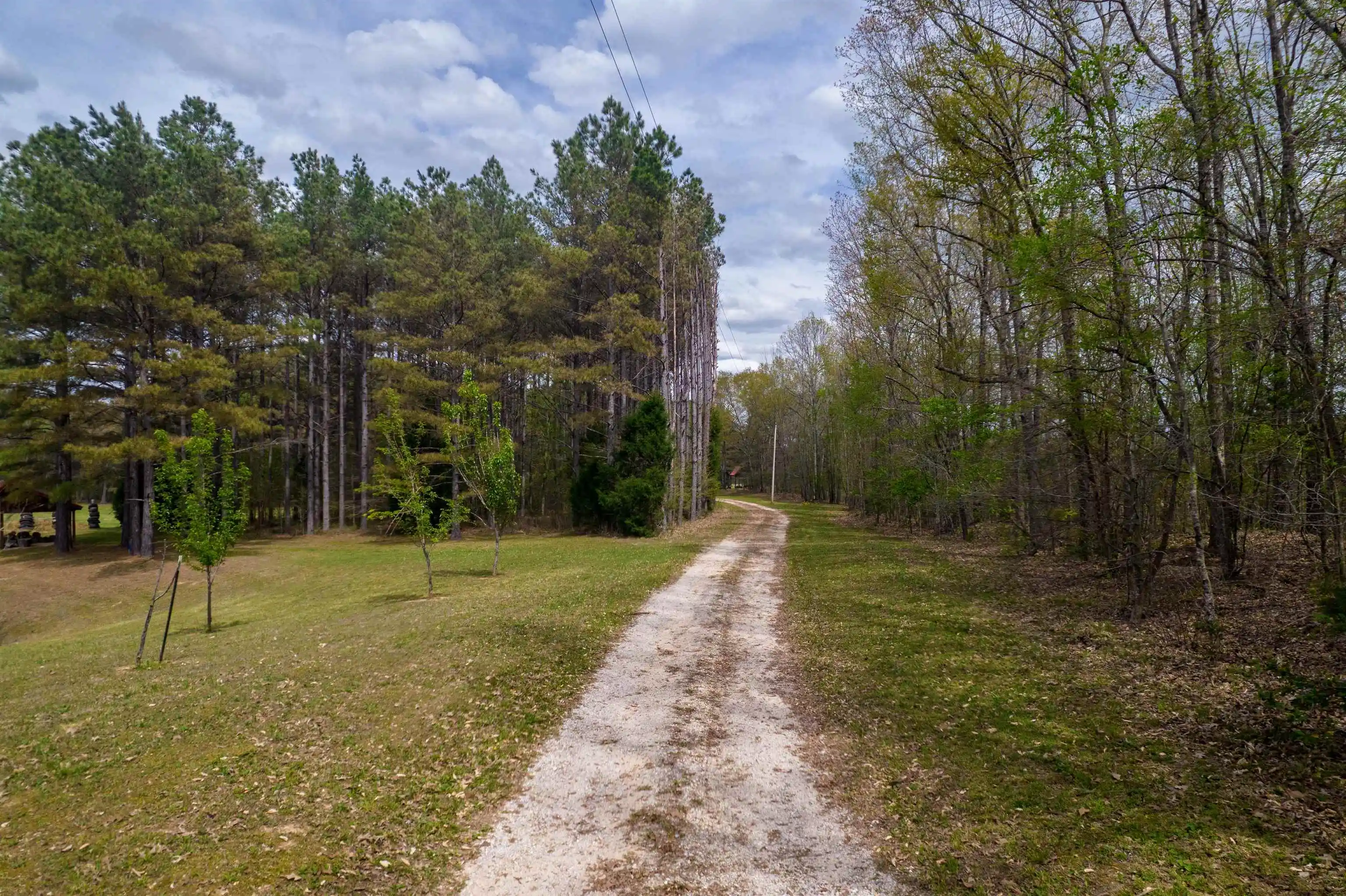 40th image of 735 Beaver Canal Ln, Huntingdon, TN 38344 | MLS# 10222195