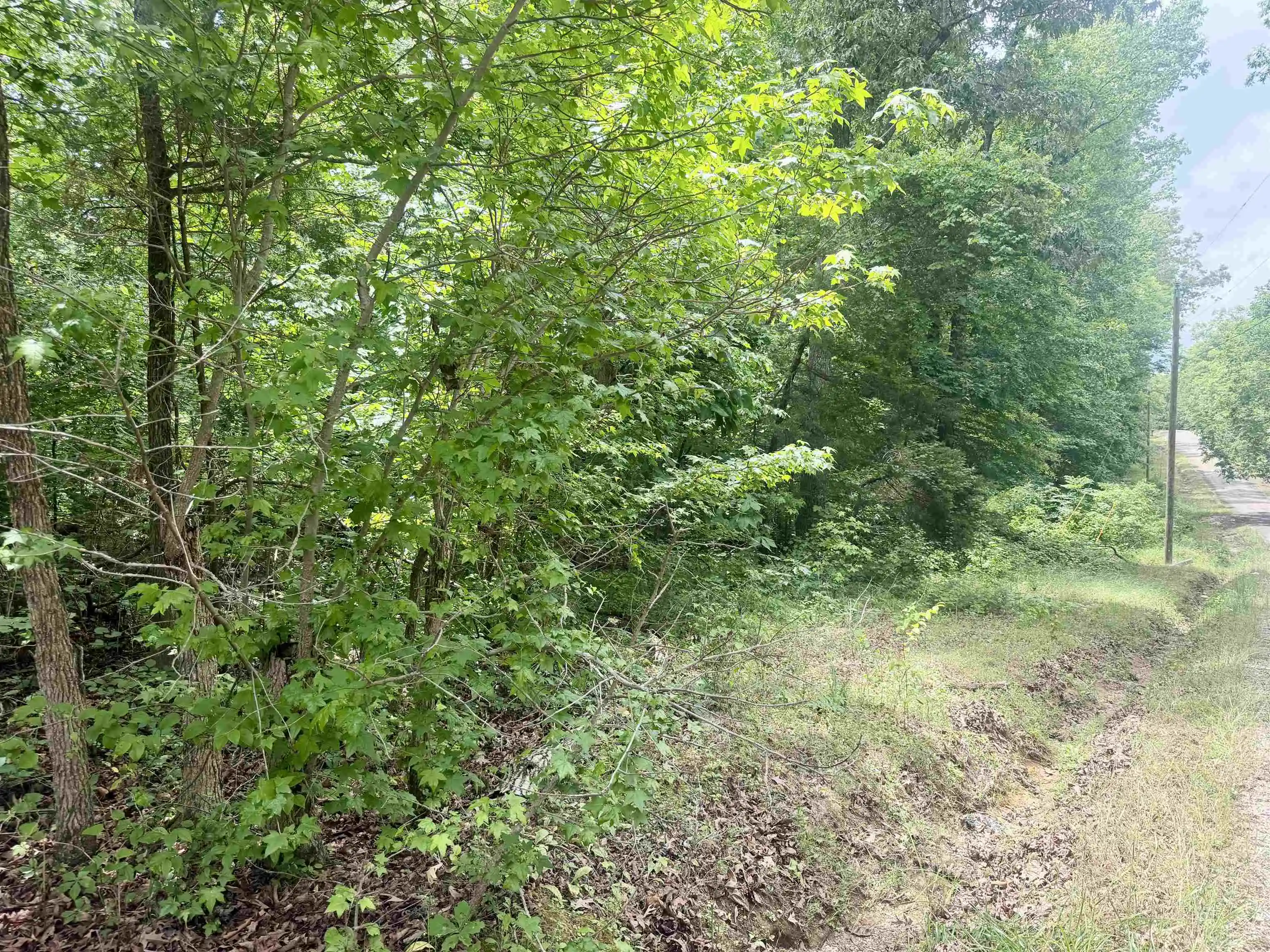 Homes for sale in Adamsville, TN | 28 & 29 Pleasant Ridge Loop, Adamsville, TN 38310 | MLS# 10222215