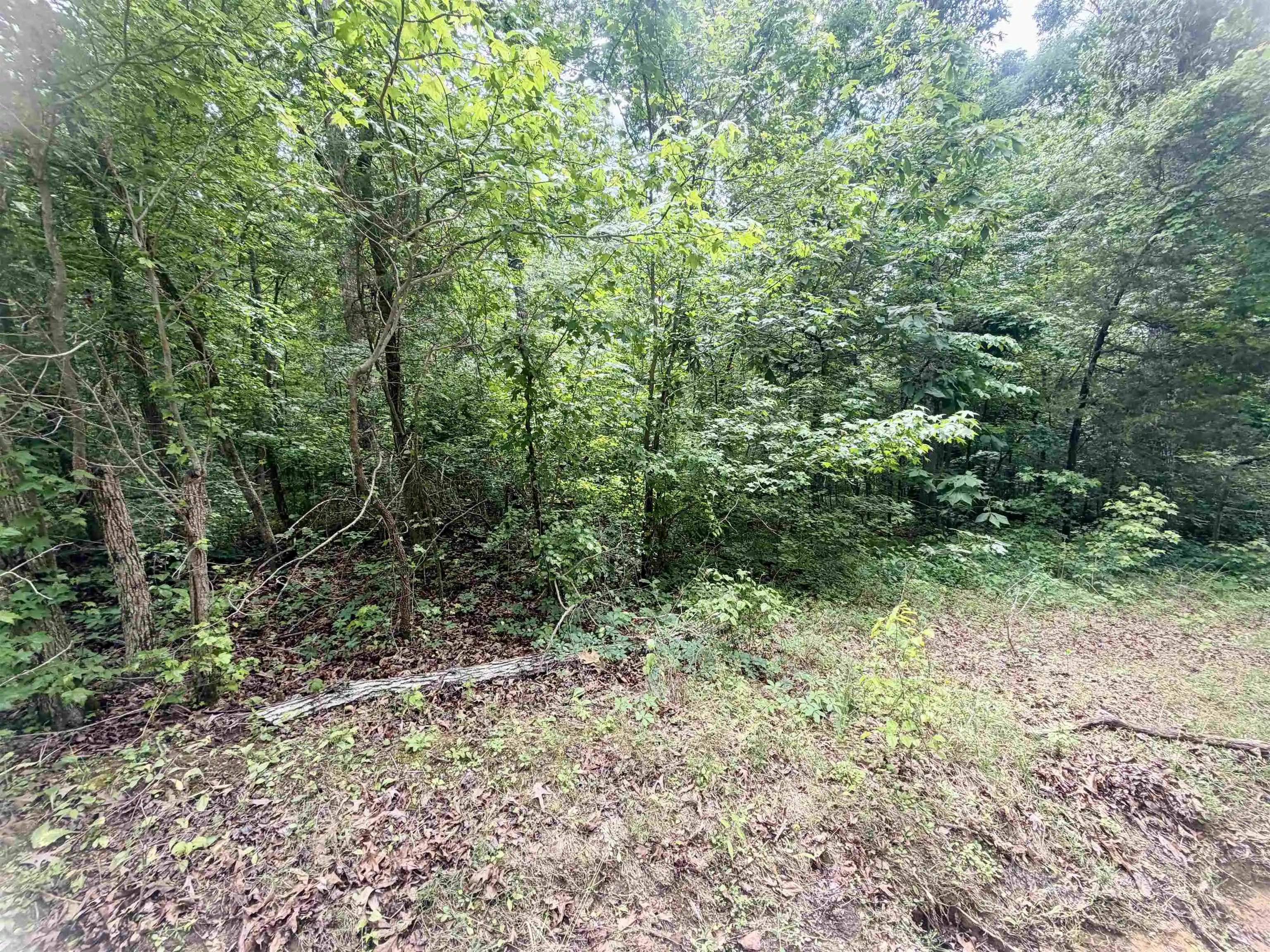 Homes for sale in Adamsville, TN | 28 & 29 Pleasant Ridge Loop, Adamsville, TN 38310 | MLS# 10222215