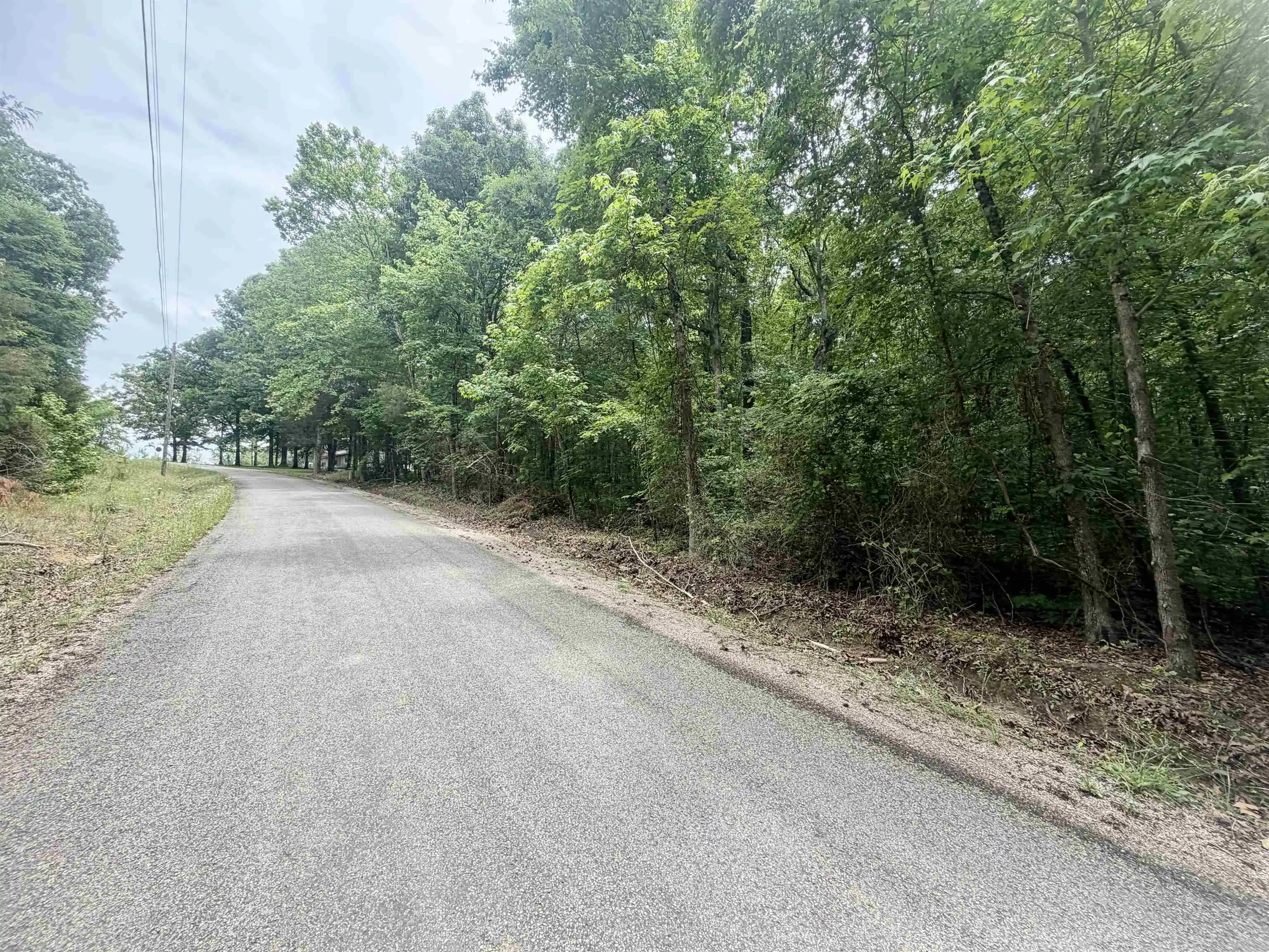 Homes for sale in Adamsville, TN | 28 & 29 Pleasant Ridge Loop, Adamsville, TN 38310 | MLS# 10222215