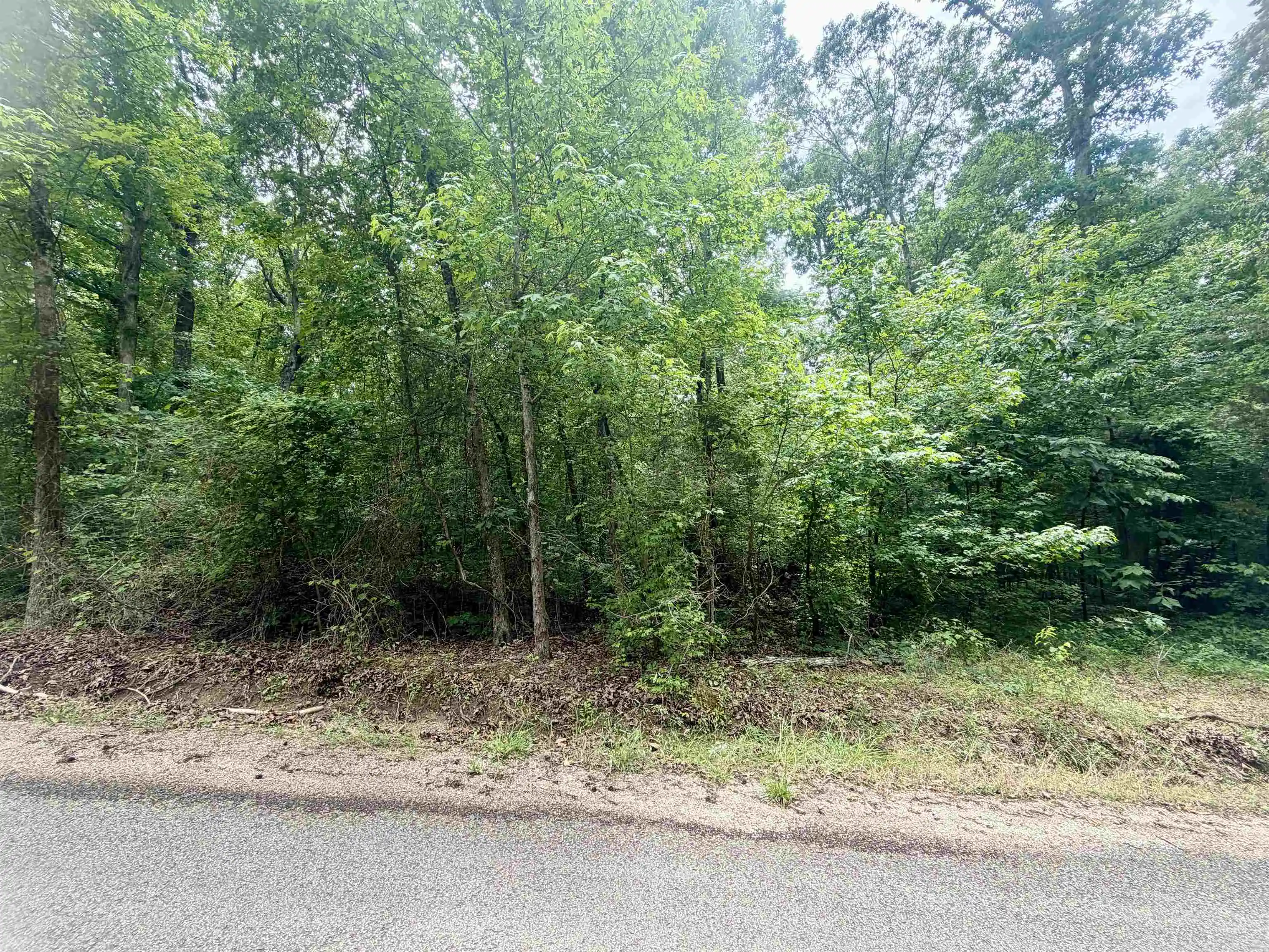Homes for sale in Adamsville, TN | 28 & 29 Pleasant Ridge Loop, Adamsville, TN 38310 | MLS# 10222215