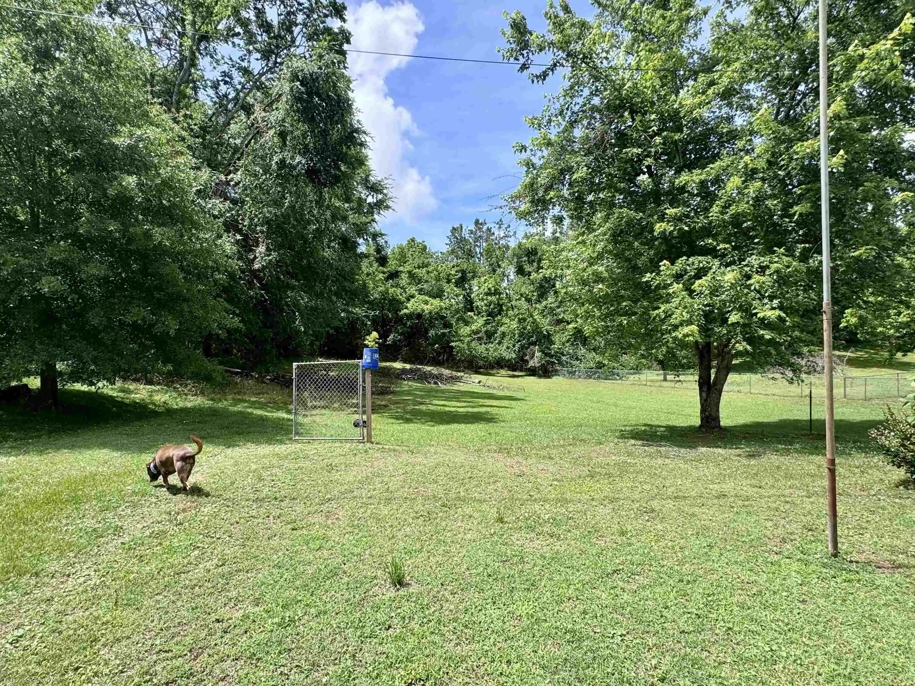 Photo 3 of Single family home for sale at 237 Old Shiloh Rd, Adamsville, TN 38310 | MLS# 10222306 | Listing updated on 2026-08-25