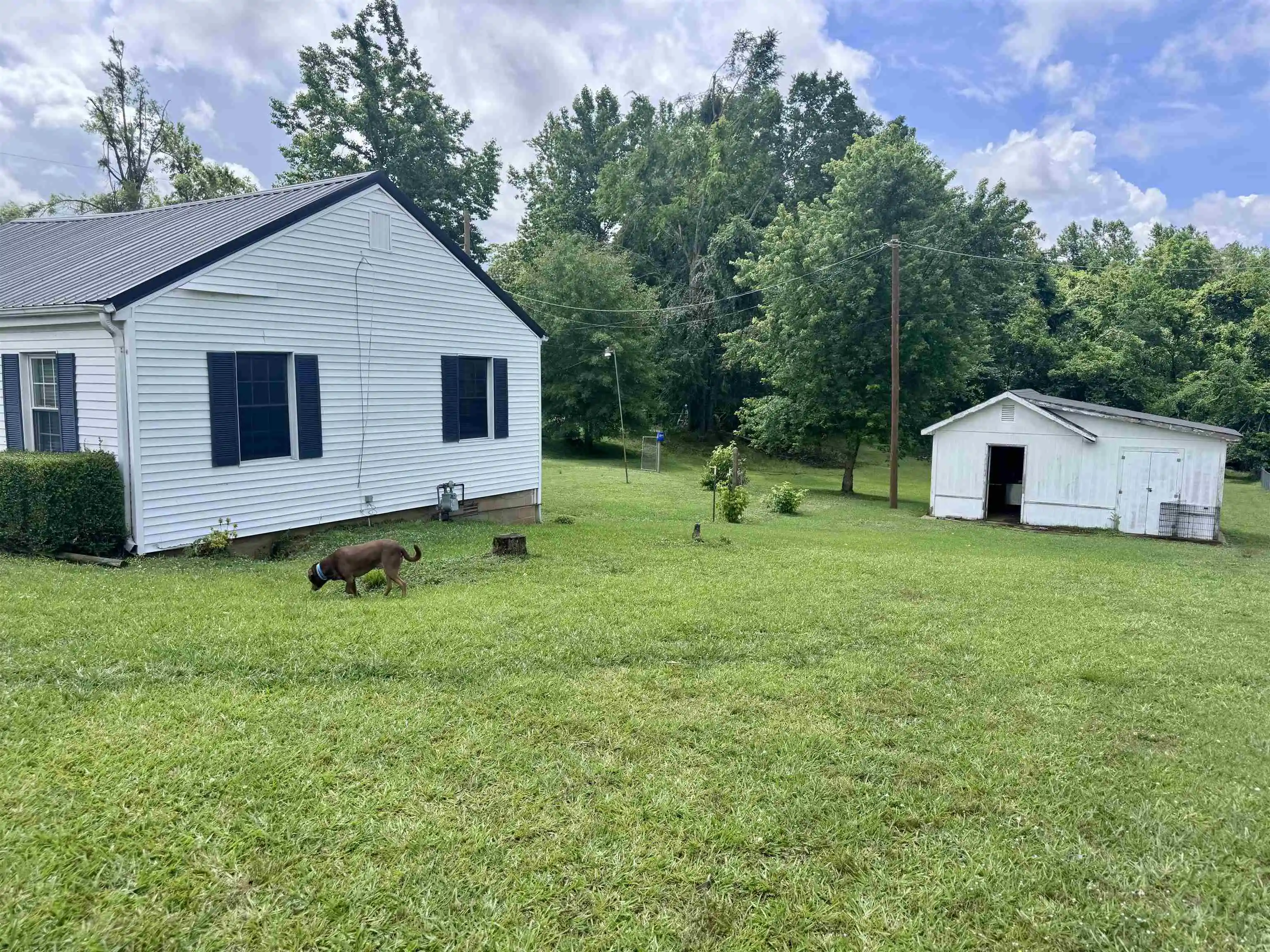 Homes for sale in Adamsville, TN | 237 Old Shiloh Rd, Adamsville, TN 38310 | MLS# 10222306