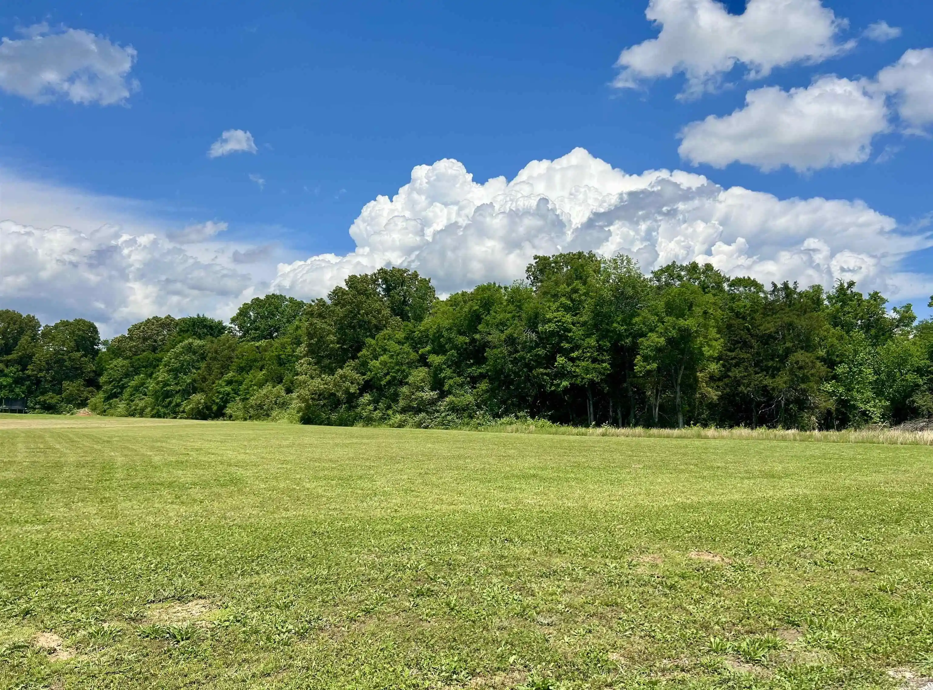 1st image of Lot 17 Cordova Cv, Savannah, TN 38372 | MLS# 10222315