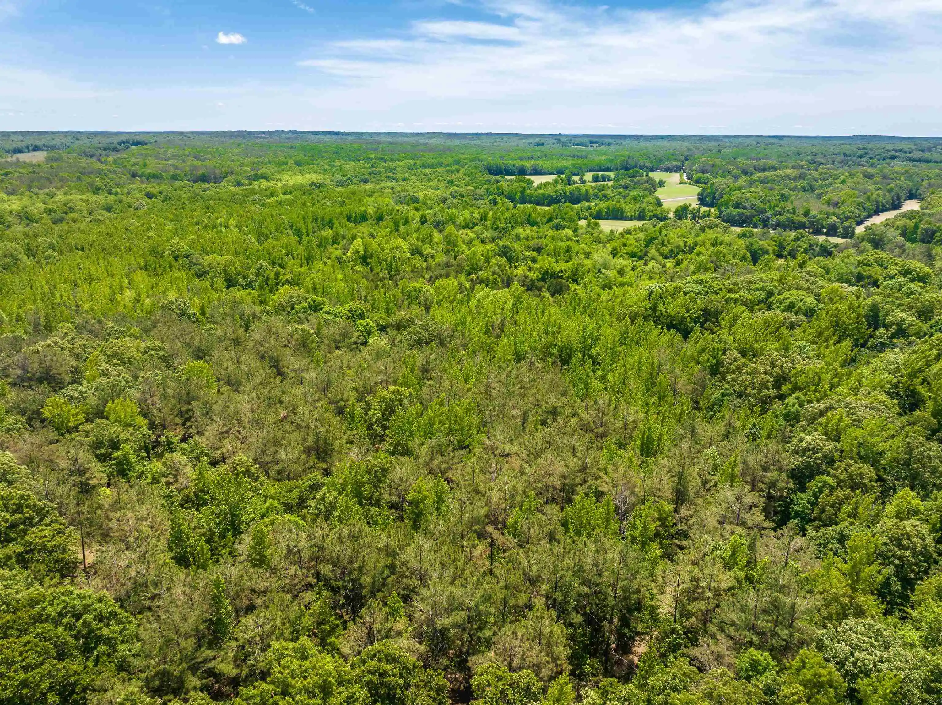 Homes for sale in Finger, TN | 2340 Center Hill Rd, Finger, TN 38334 | MLS# 10222320
