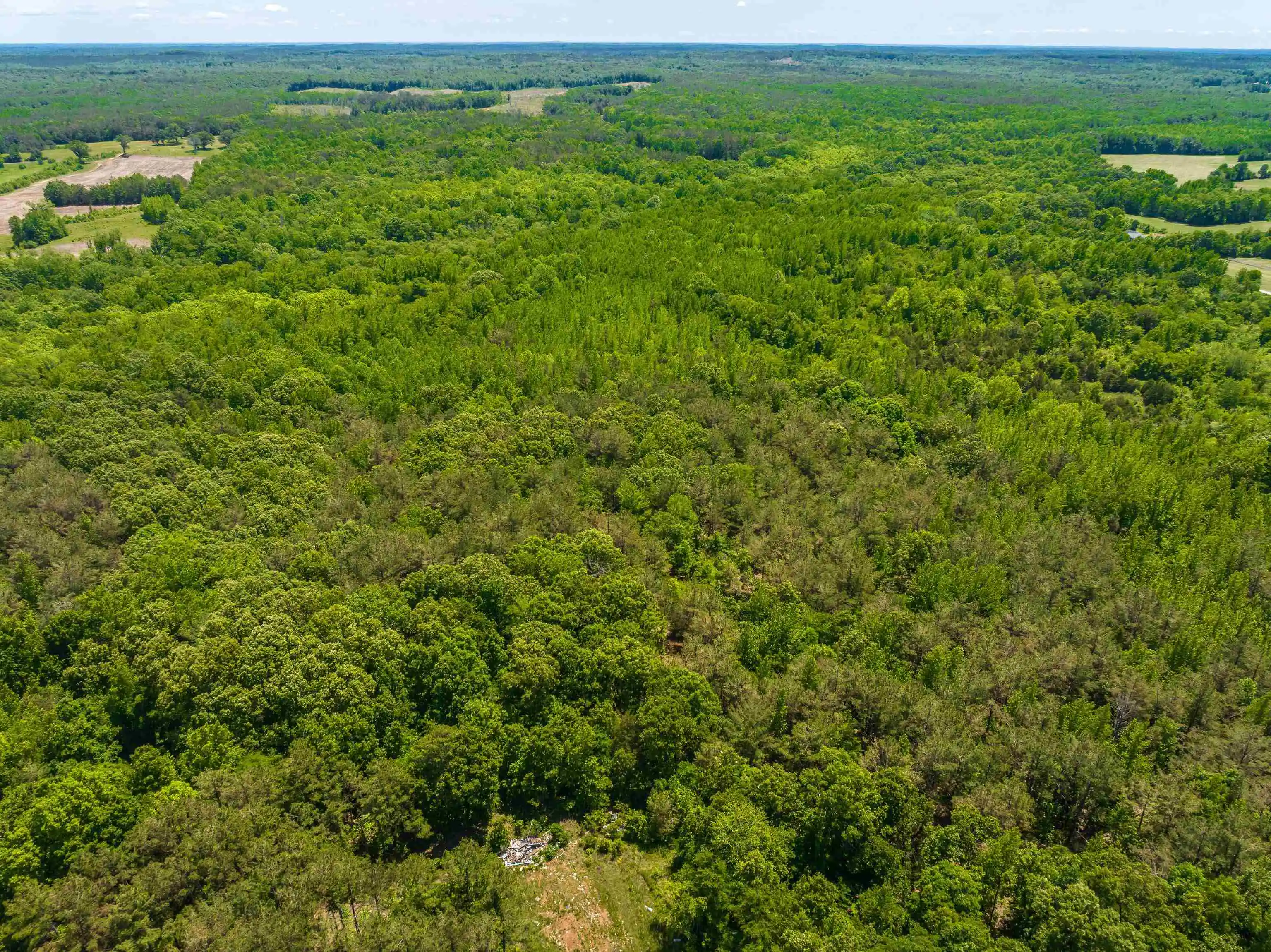 Homes for sale in Finger, TN | 2340 Center Hill Rd, Finger, TN 38334 | MLS# 10222320