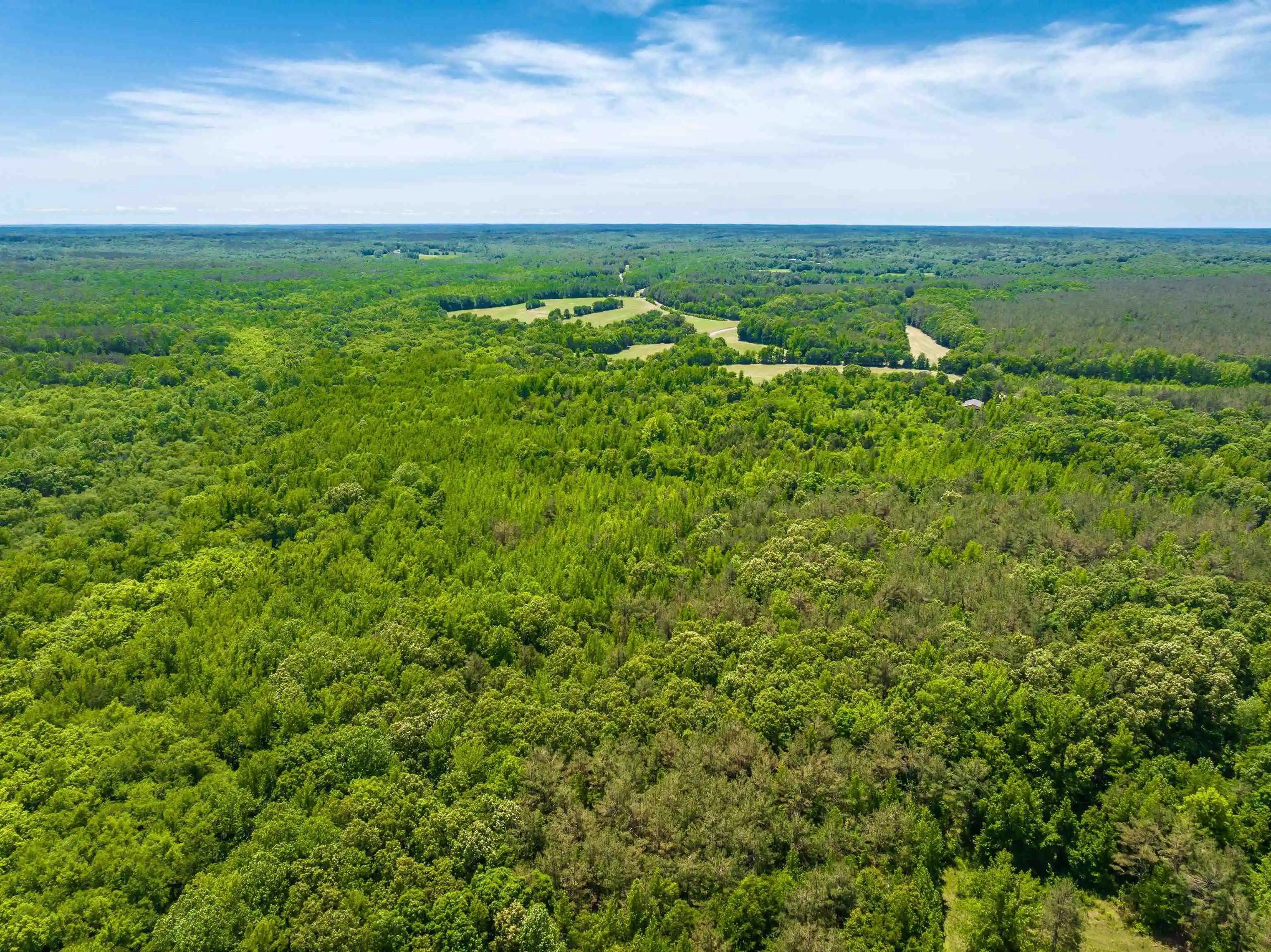 Homes for sale in Finger, TN | 2340 Center Hill Rd, Finger, TN 38334 | MLS# 10222320