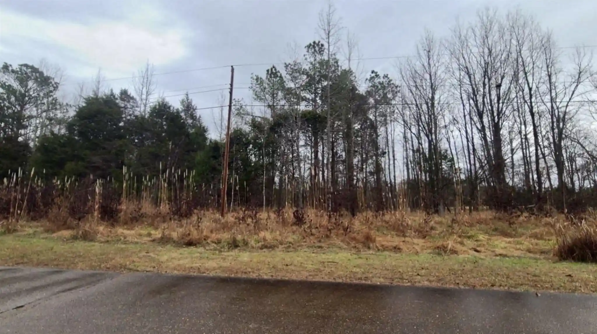 Homes for sale in Saulsbury, TN | 487 Fairway Dr, Saulsbury, TN 38067 | MLS# 10222354