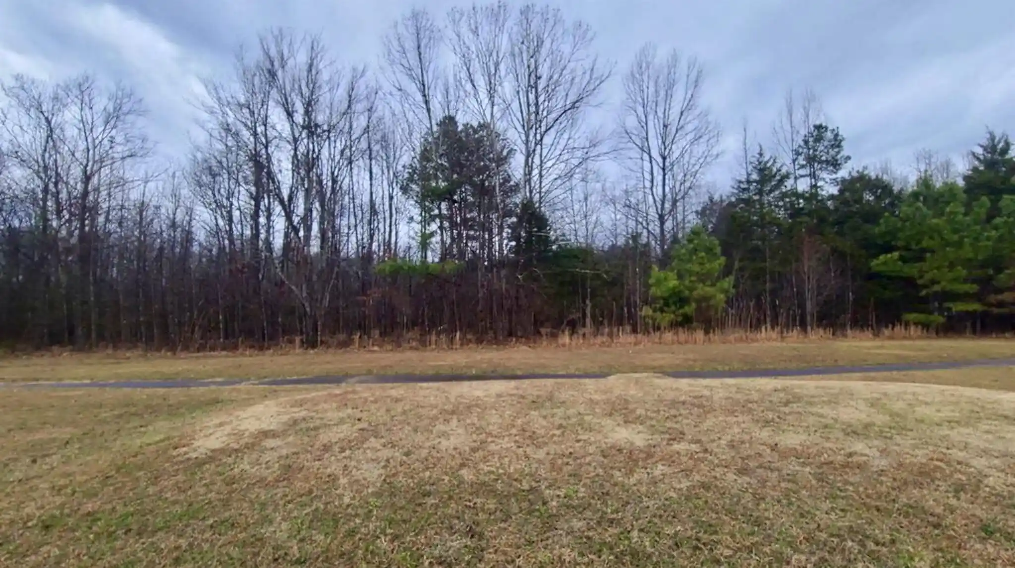 Homes for sale in Saulsbury, TN | 487 Fairway Dr, Saulsbury, TN 38067 | MLS# 10222354