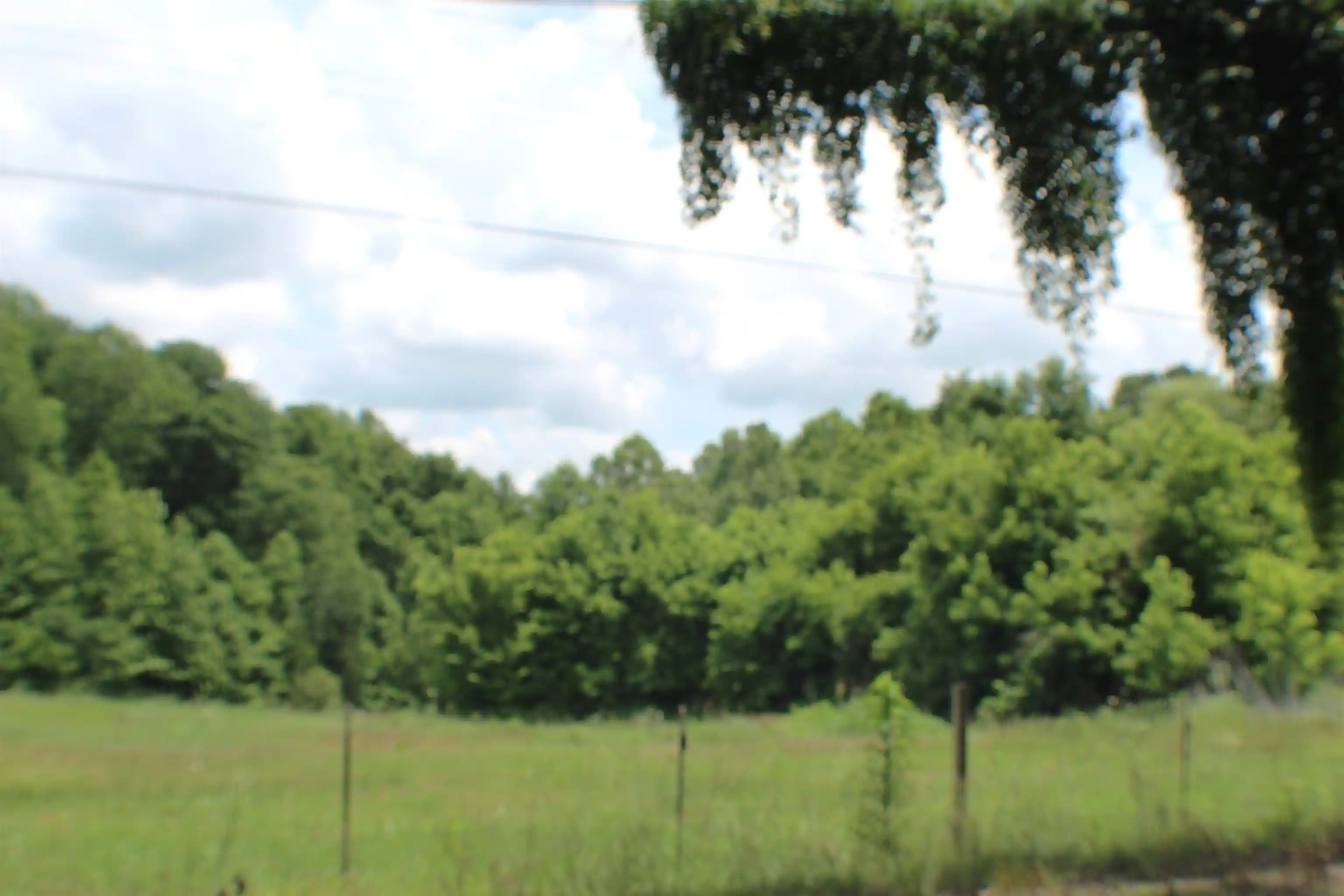 Homes for sale in Unincorporated, TN | 2456 Ray Bluff Rd, Unincorporated, TN 38053 | MLS# 10222503
