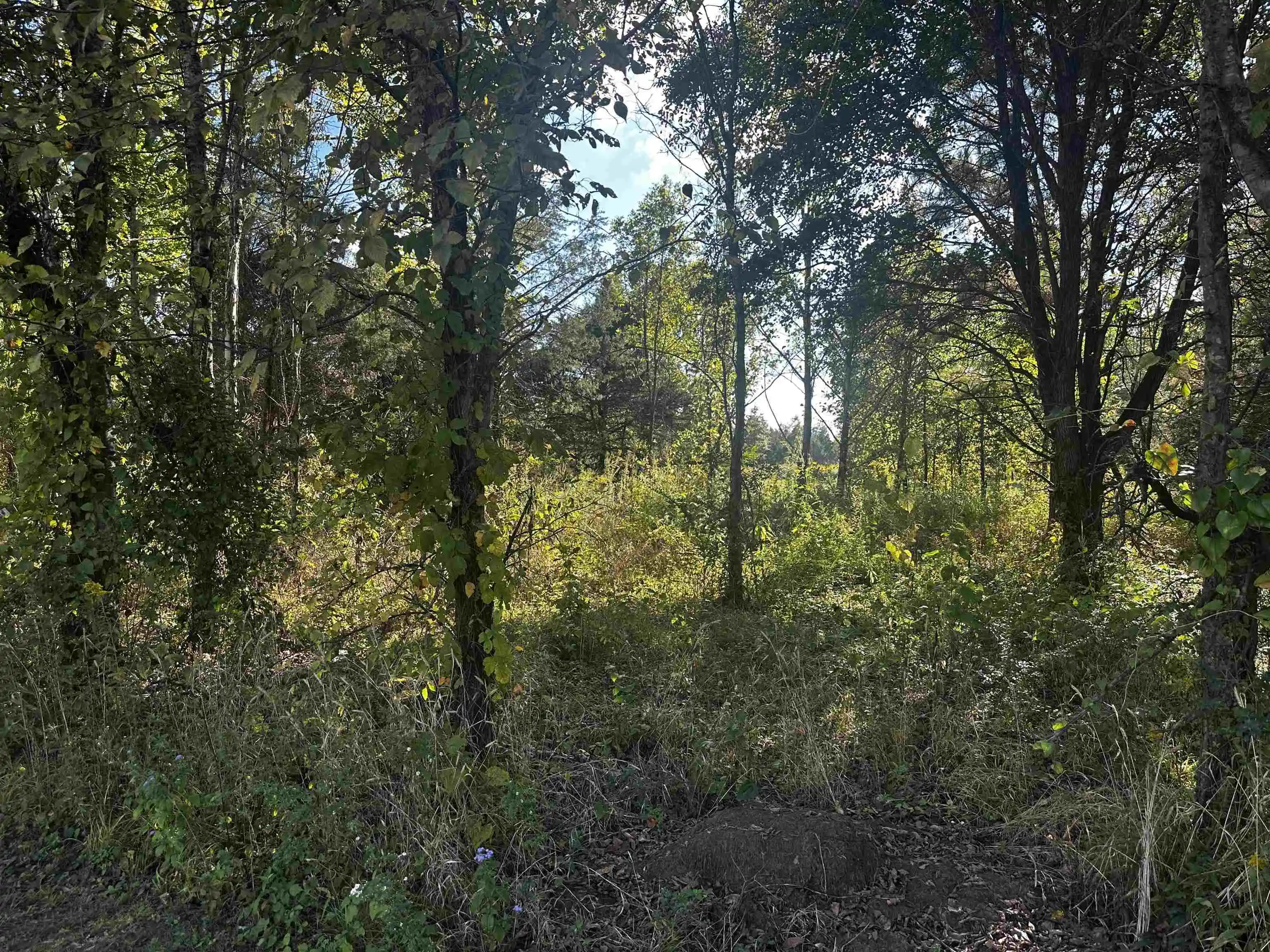 Homes for sale in Crump, TN | 152 155 Catfish Ln Ln, Crump, TN 38327 | MLS# 10222593