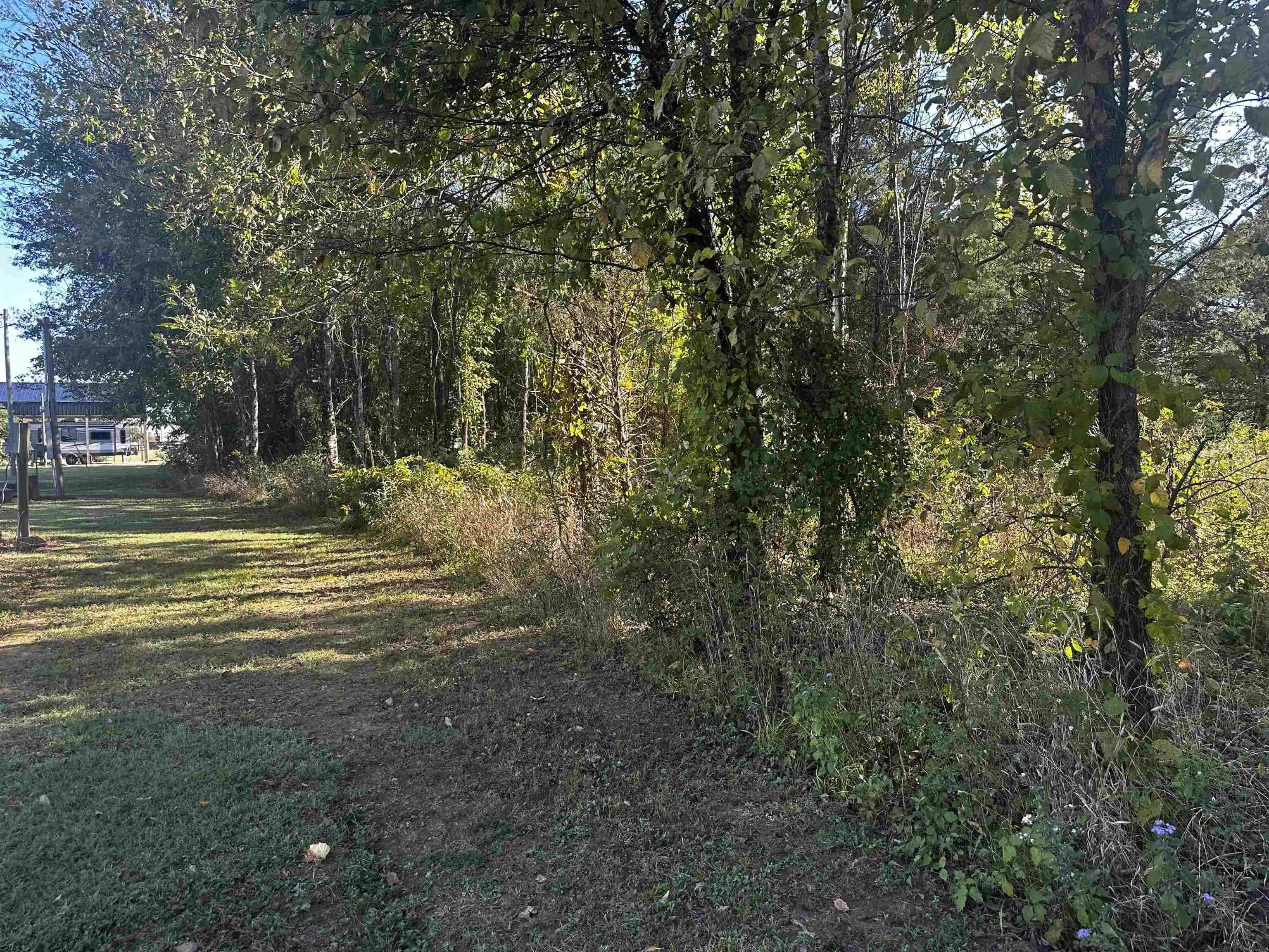 Homes for sale in Crump, TN | 152 155 Catfish Ln Ln, Crump, TN 38327 | MLS# 10222593